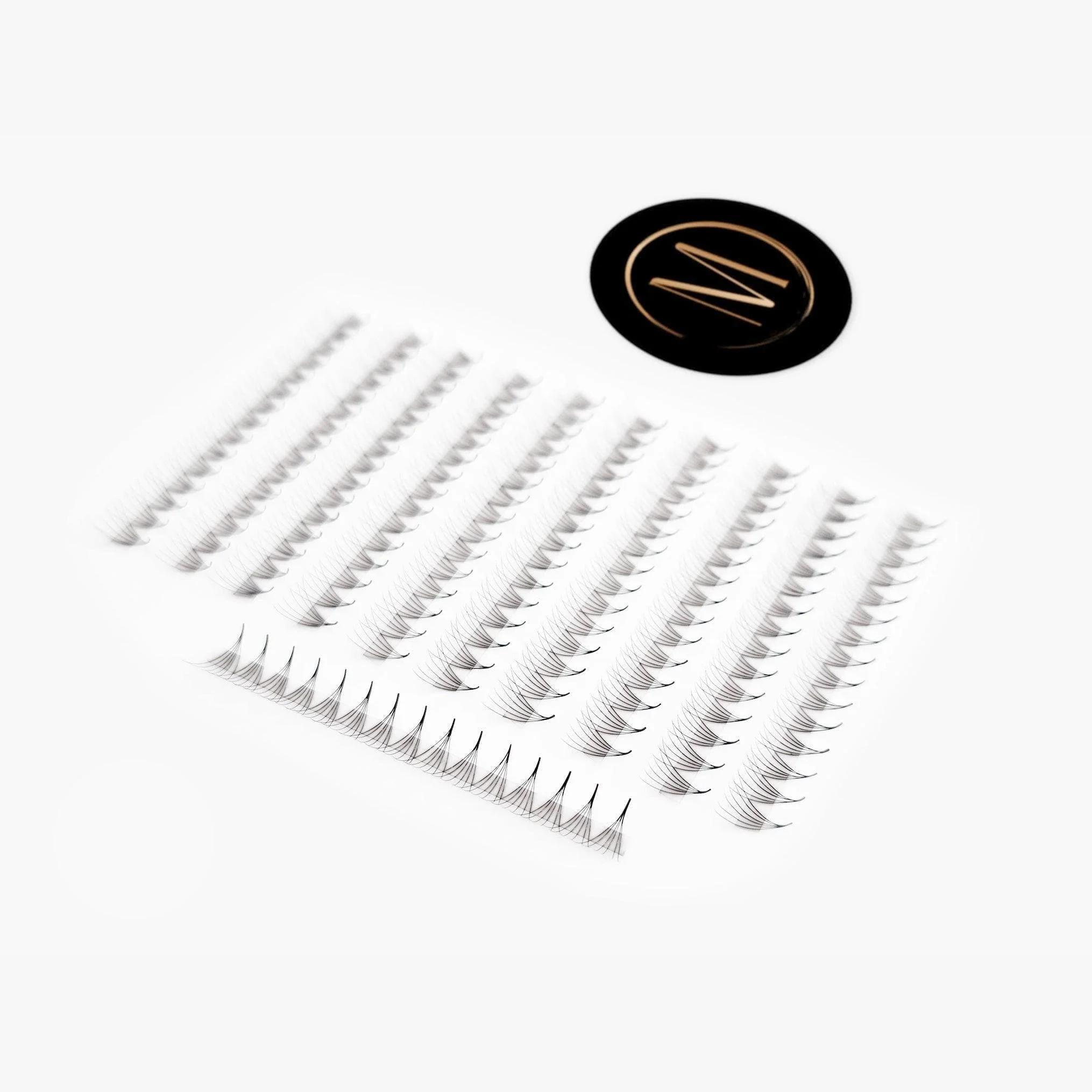 6D Mix Rapid Promade Fans® - 1000 Fans - Image 3