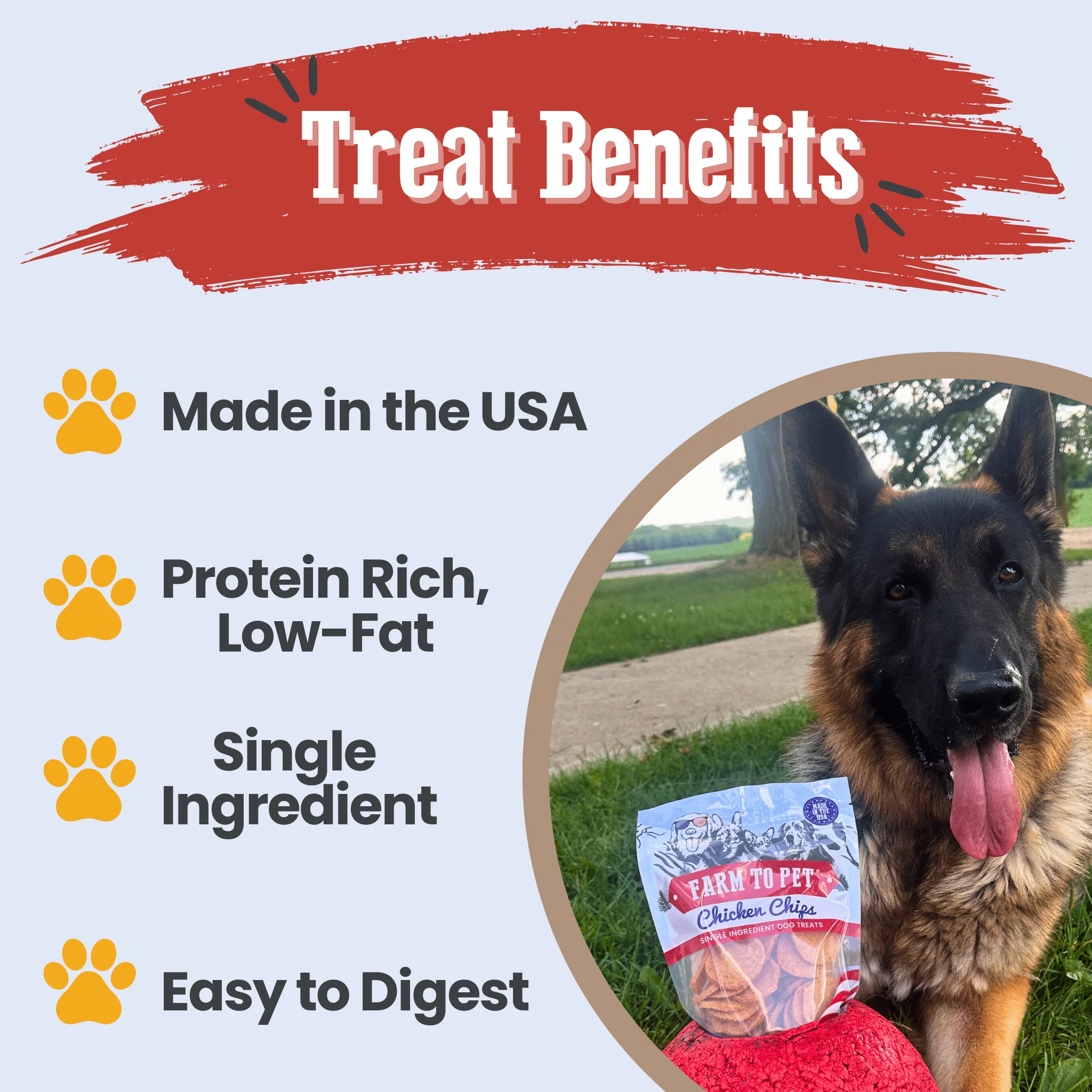 Americana Chicken Chips for Dogs | Celebrate with USA-made Dog Treats - Image 5