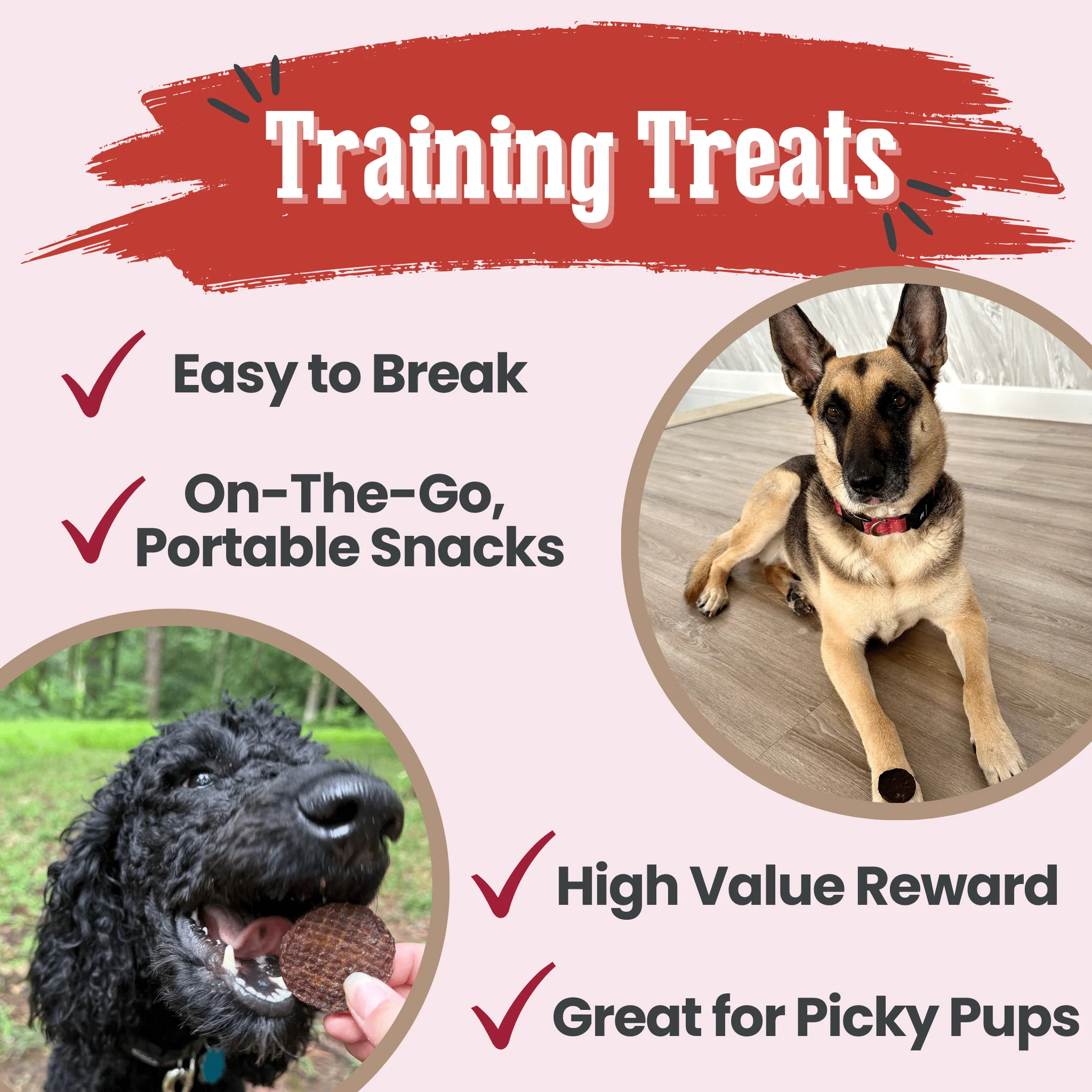 Beef Chips Dog Treats | Single-Ingredient Healthy Treats for Dogs - Image 12