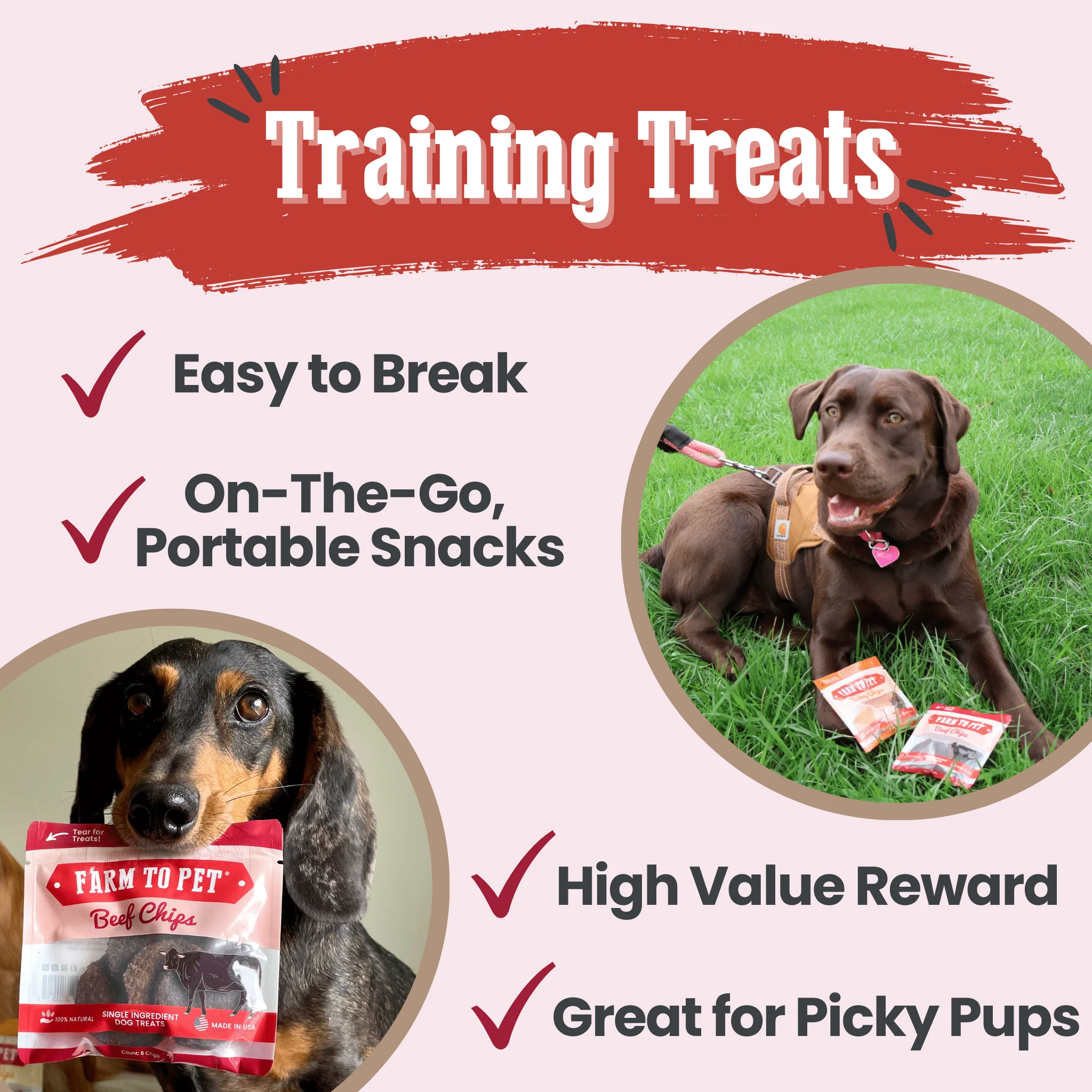 Beef Chips Snack Pack Bundles | Dog Treats for Training & Travel - Image 15