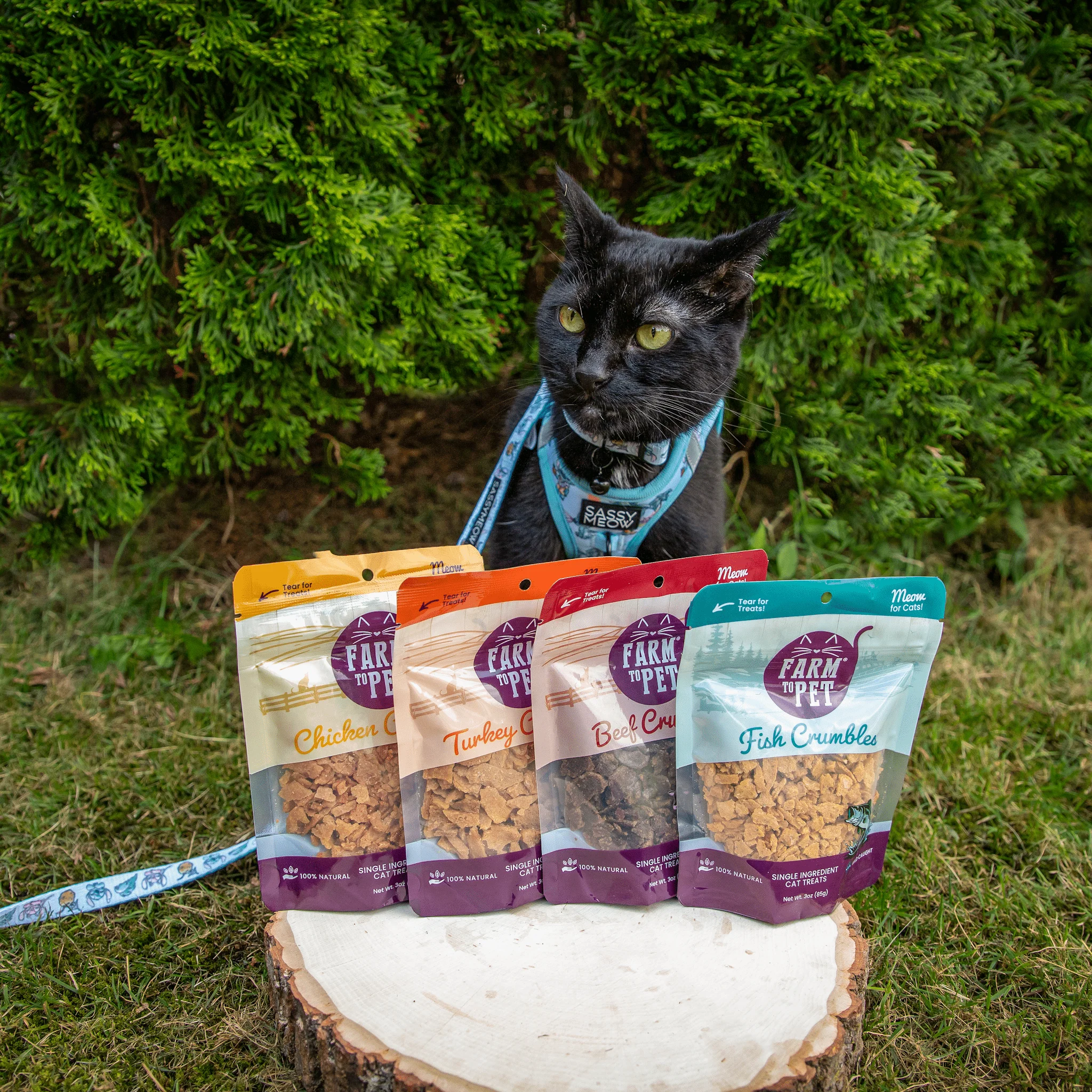 Beef Crumbles Cat Treats | High Protein Treats for Cats - Image 4