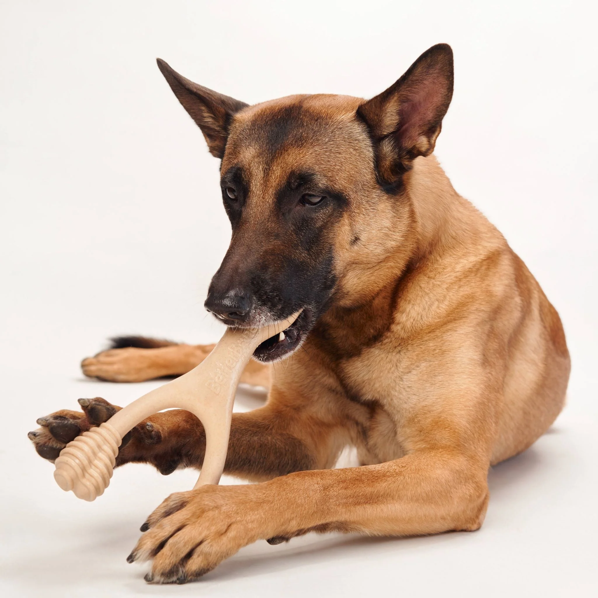 BetterBone MODERATE Chew Toy - Image 11
