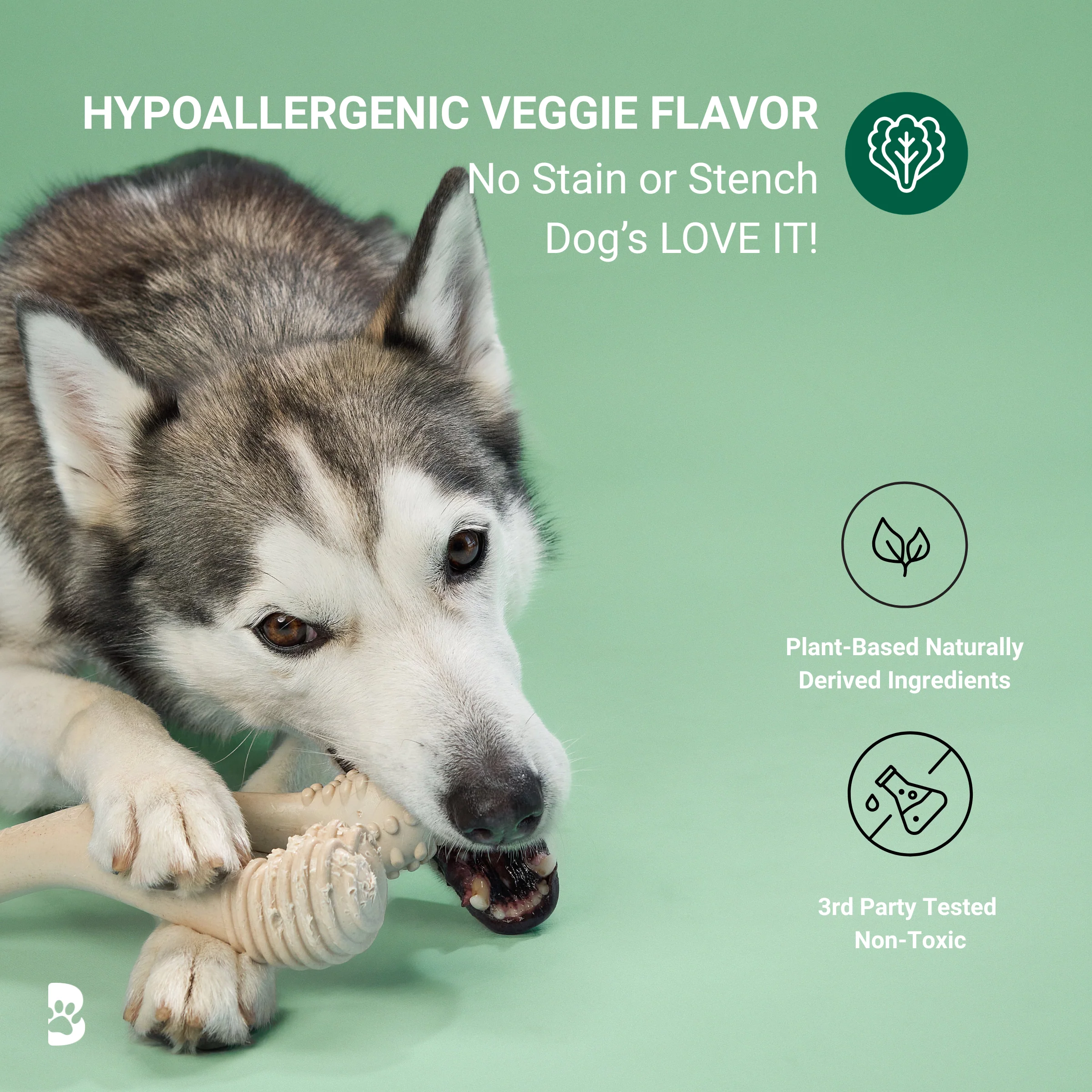 BetterBone MODERATE Chew Toy - Image 5
