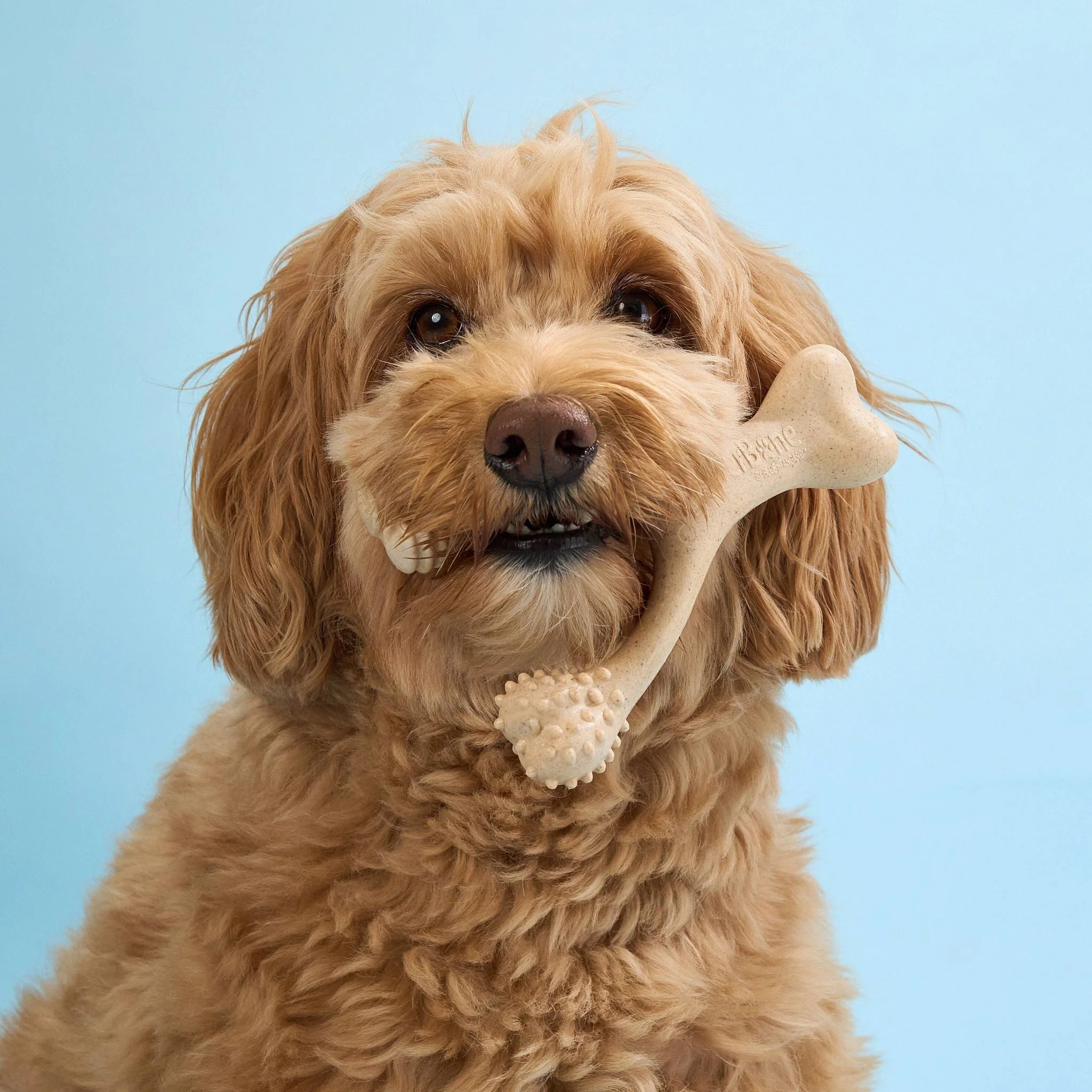 BetterBone LIGHT Chew Toy - Image 10
