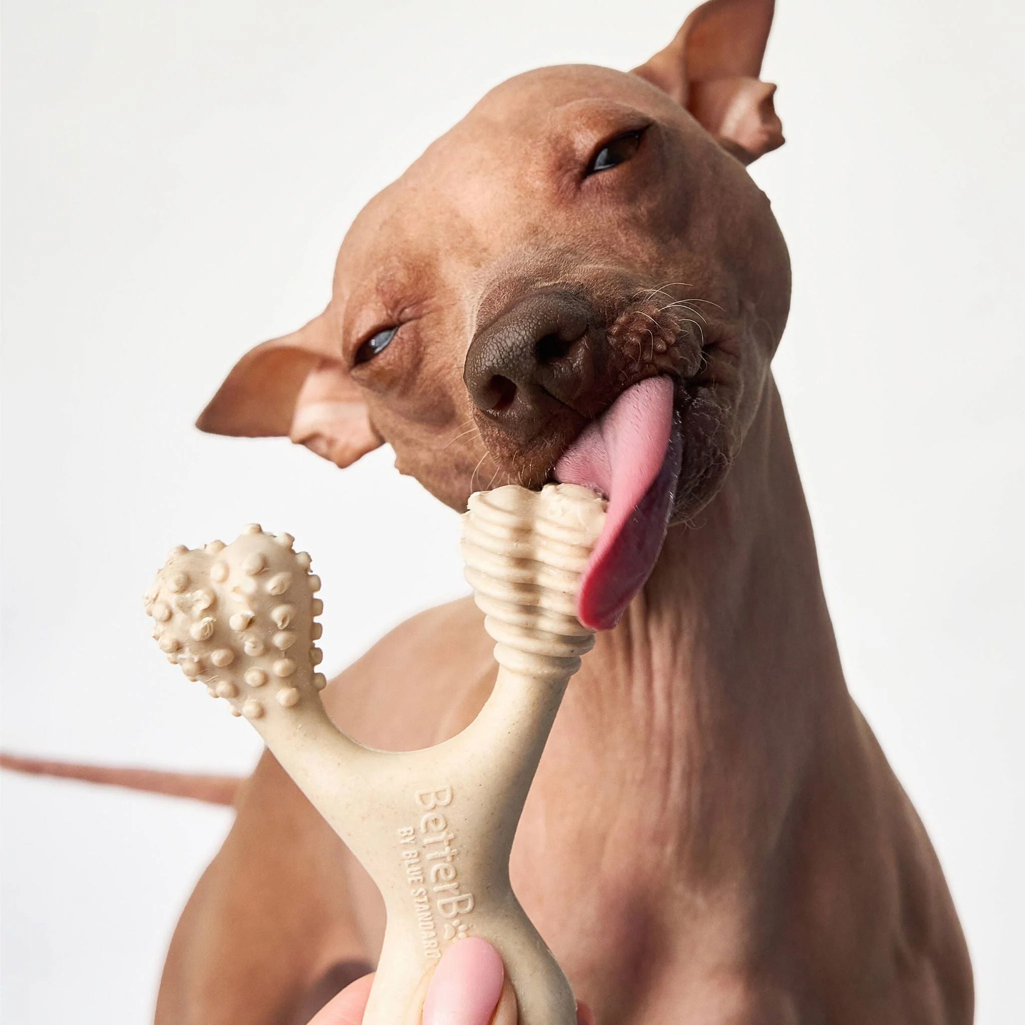 BetterBone LIGHT Chew Toy - Image 5