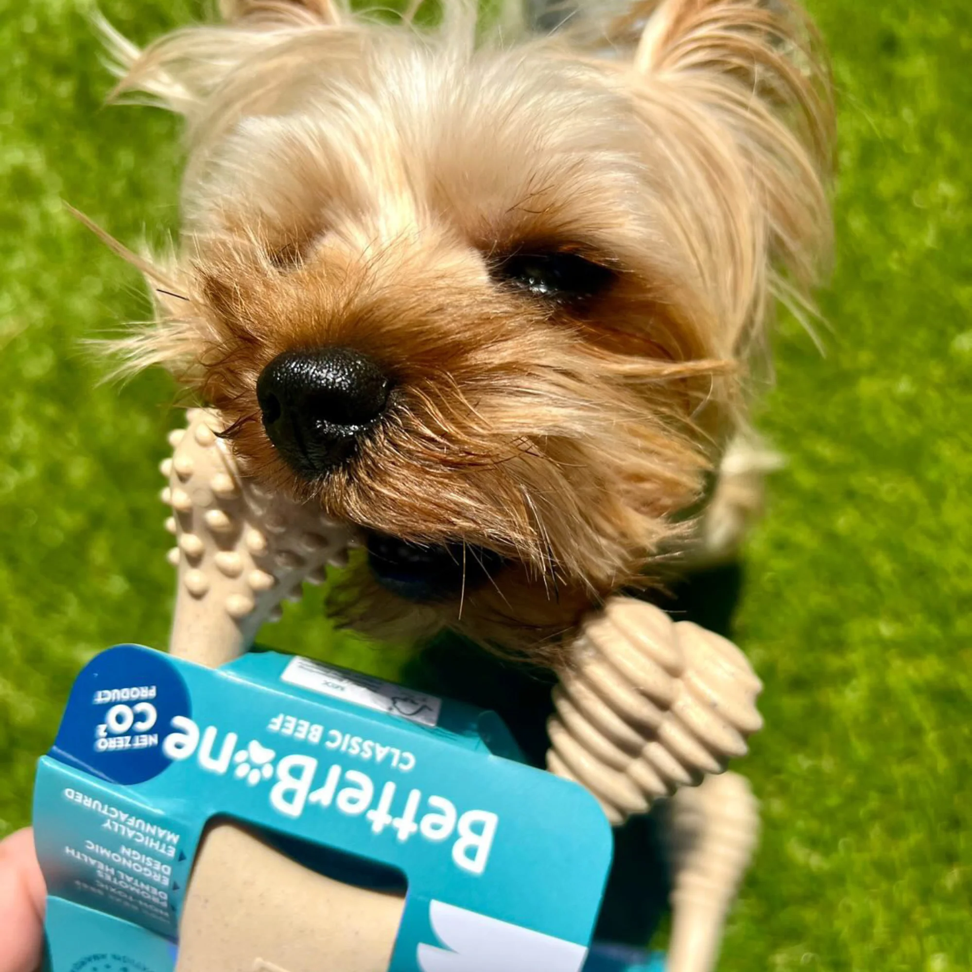 BetterBone LIGHT Chew Toy - Image 7