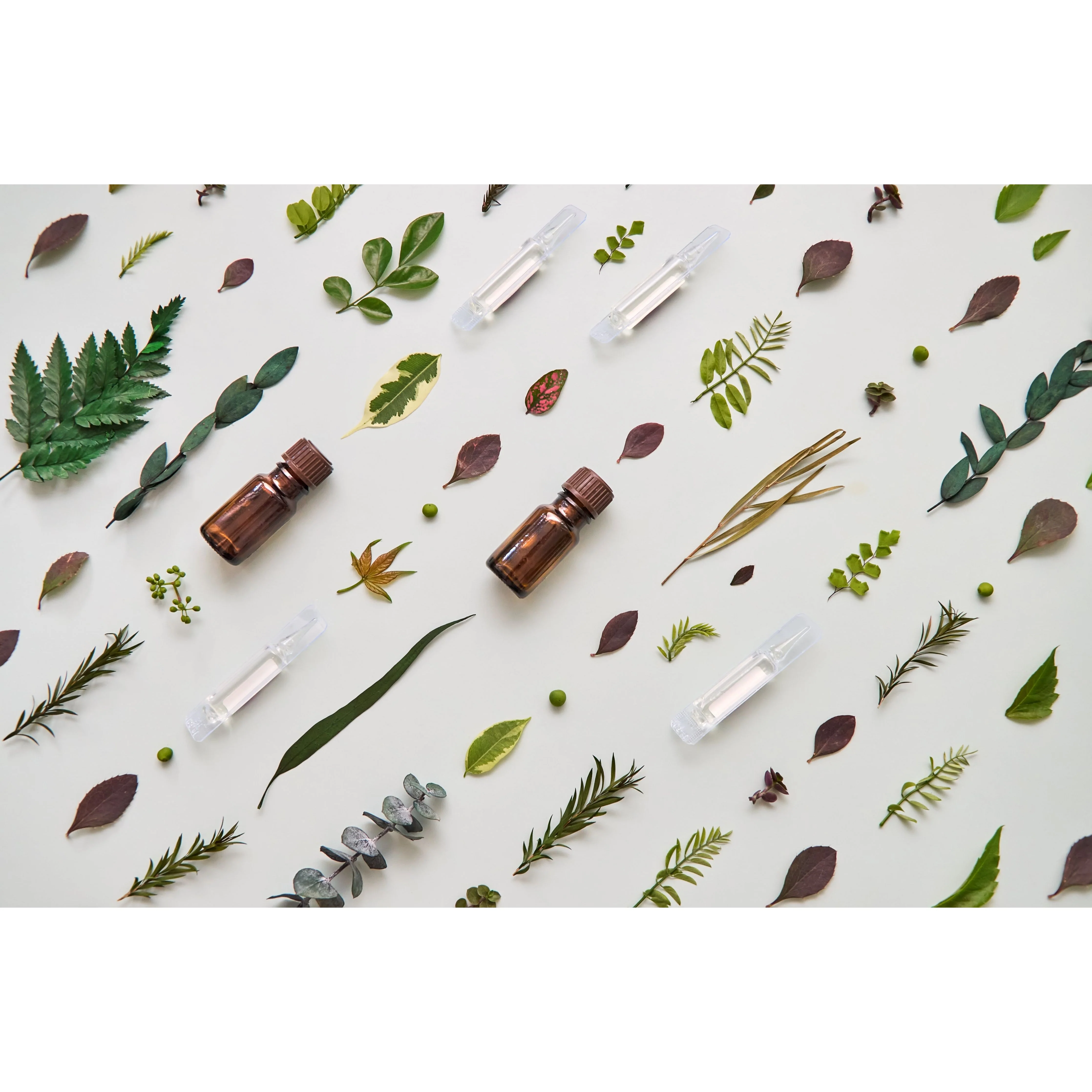 Bio Choice Ampoules - Image 5