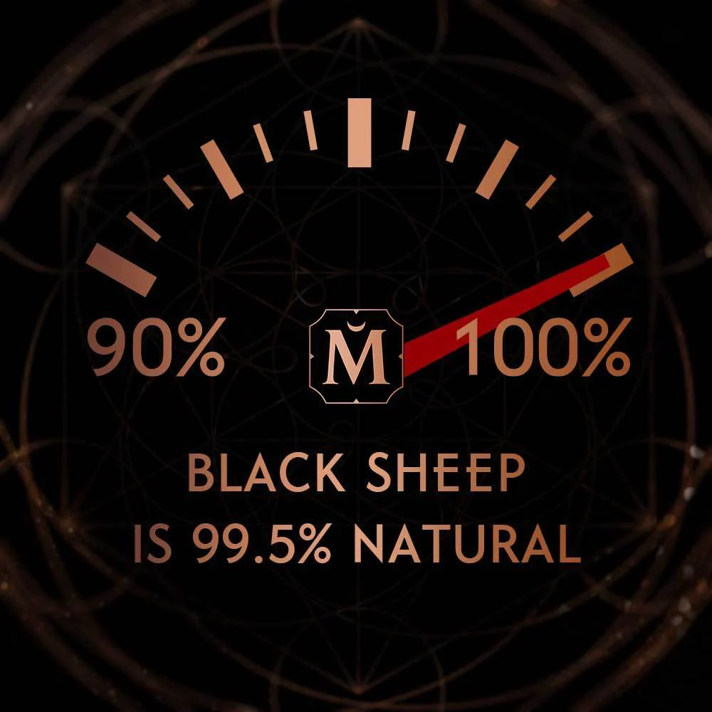 BLACK SHEEP - Natural Costus High Perfumery - Image 4