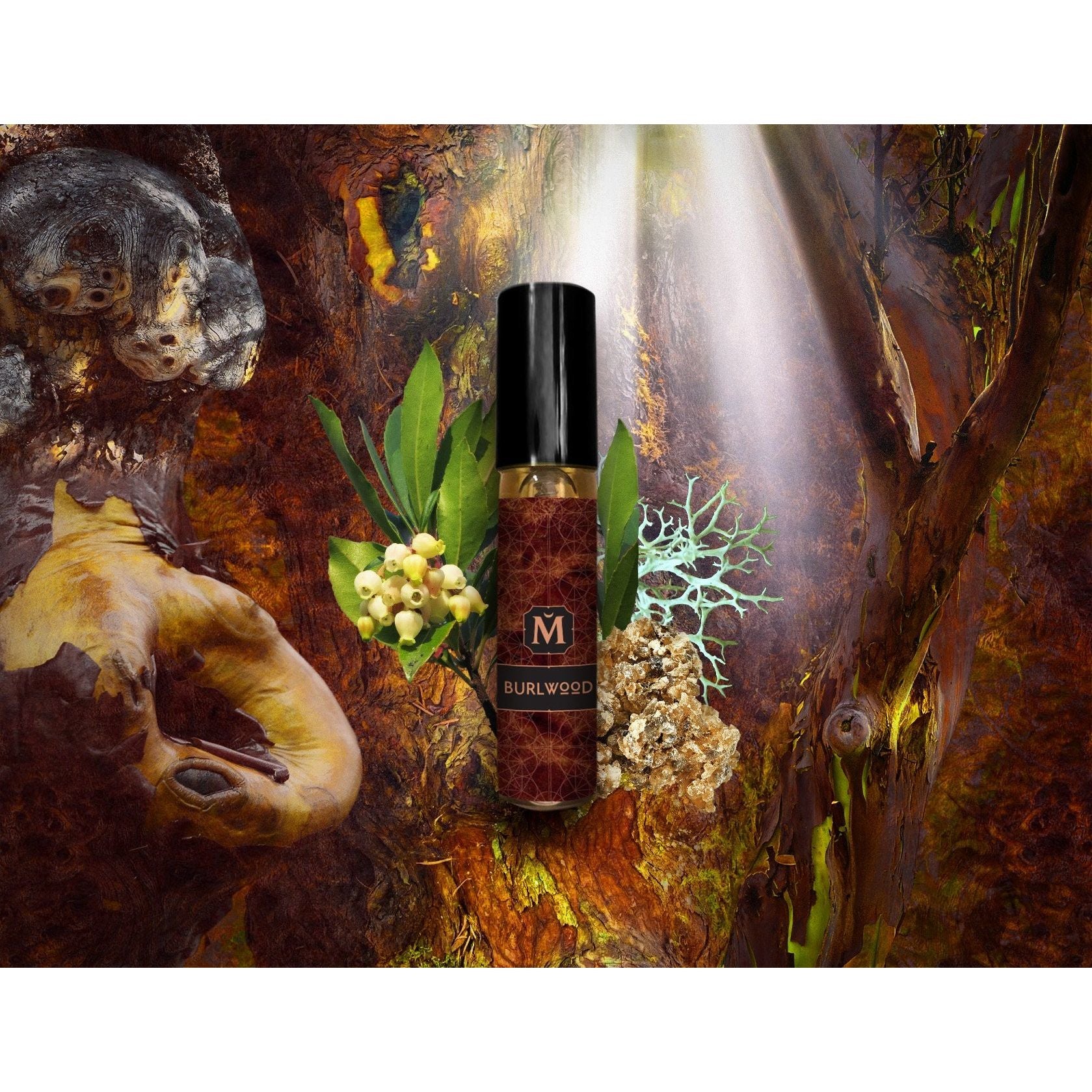 BURLWOOD - Noble Woods High Perfumery - Image 3