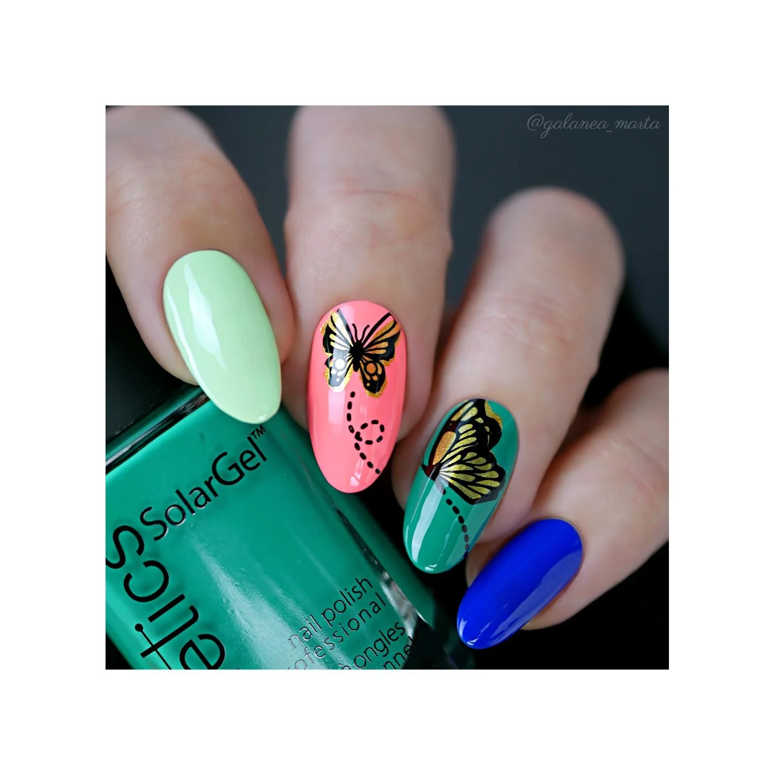 Butterflies - Image 18