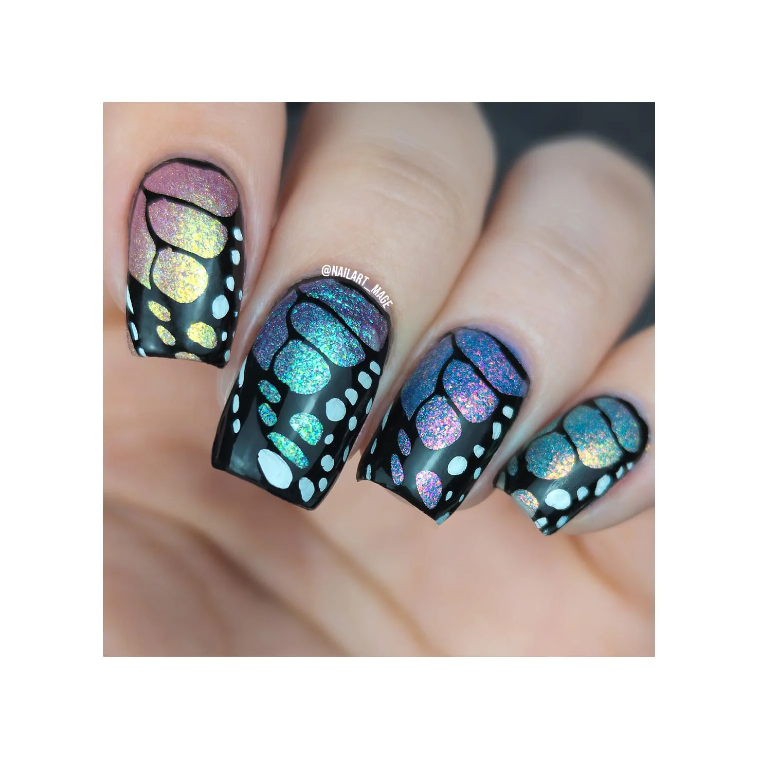 Butterflies - Image 2