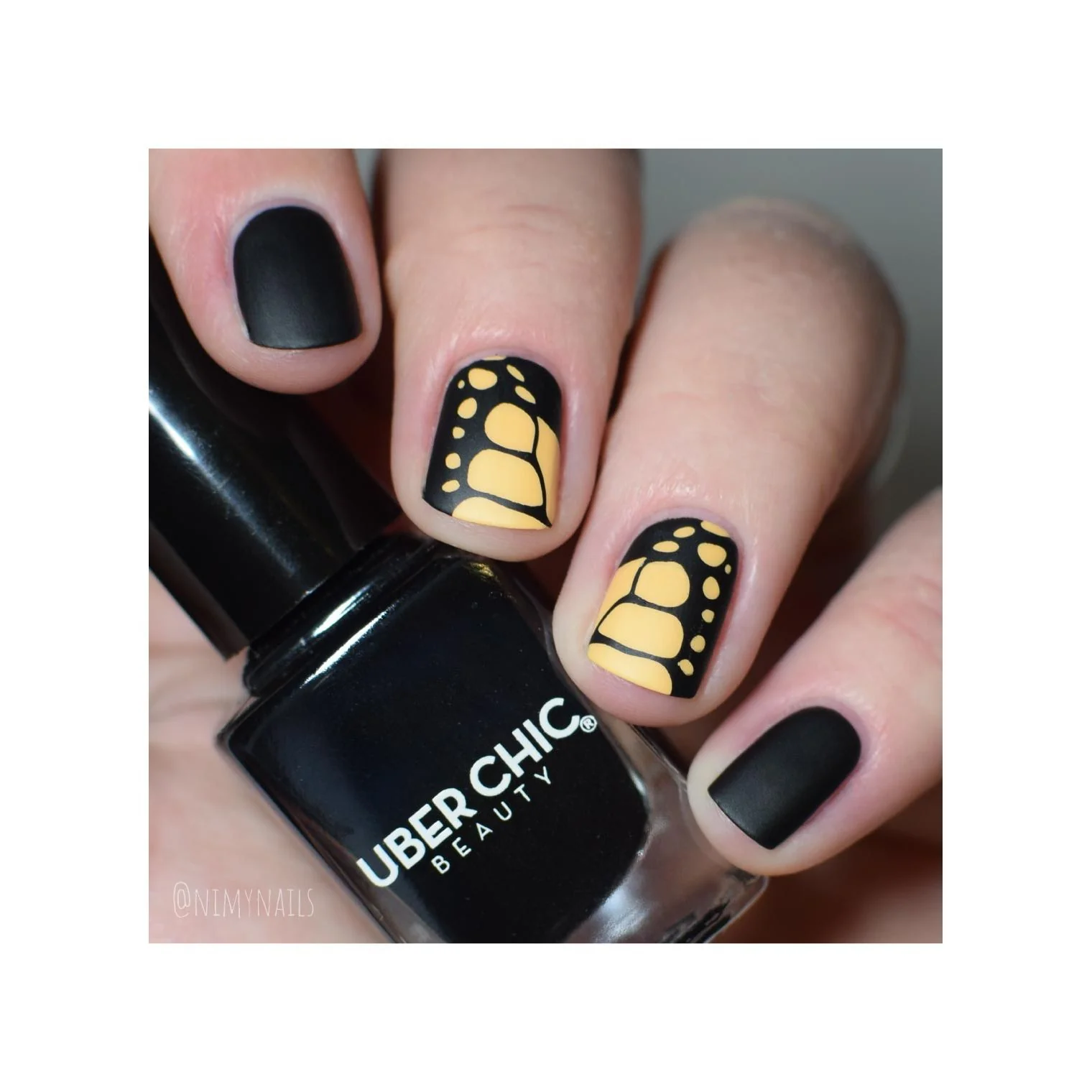 Butterflies - Image 21