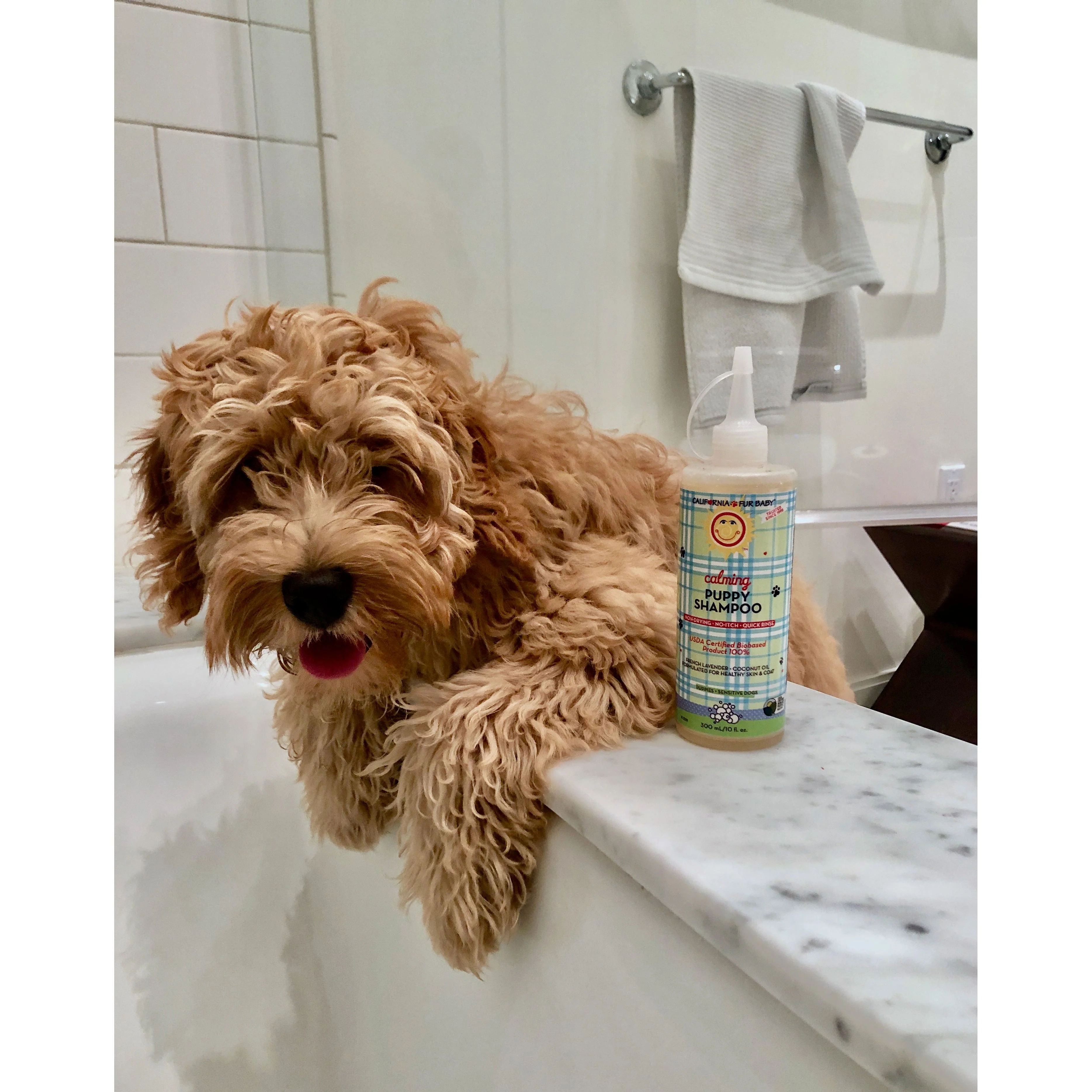 Calming™ Puppy + Dog Wash - Image 4
