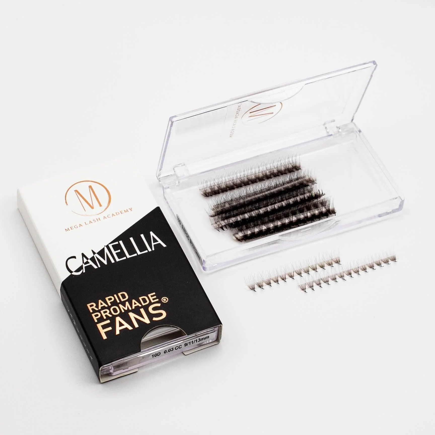 Camellia 10D Rapid Promade Fans® - Image 3