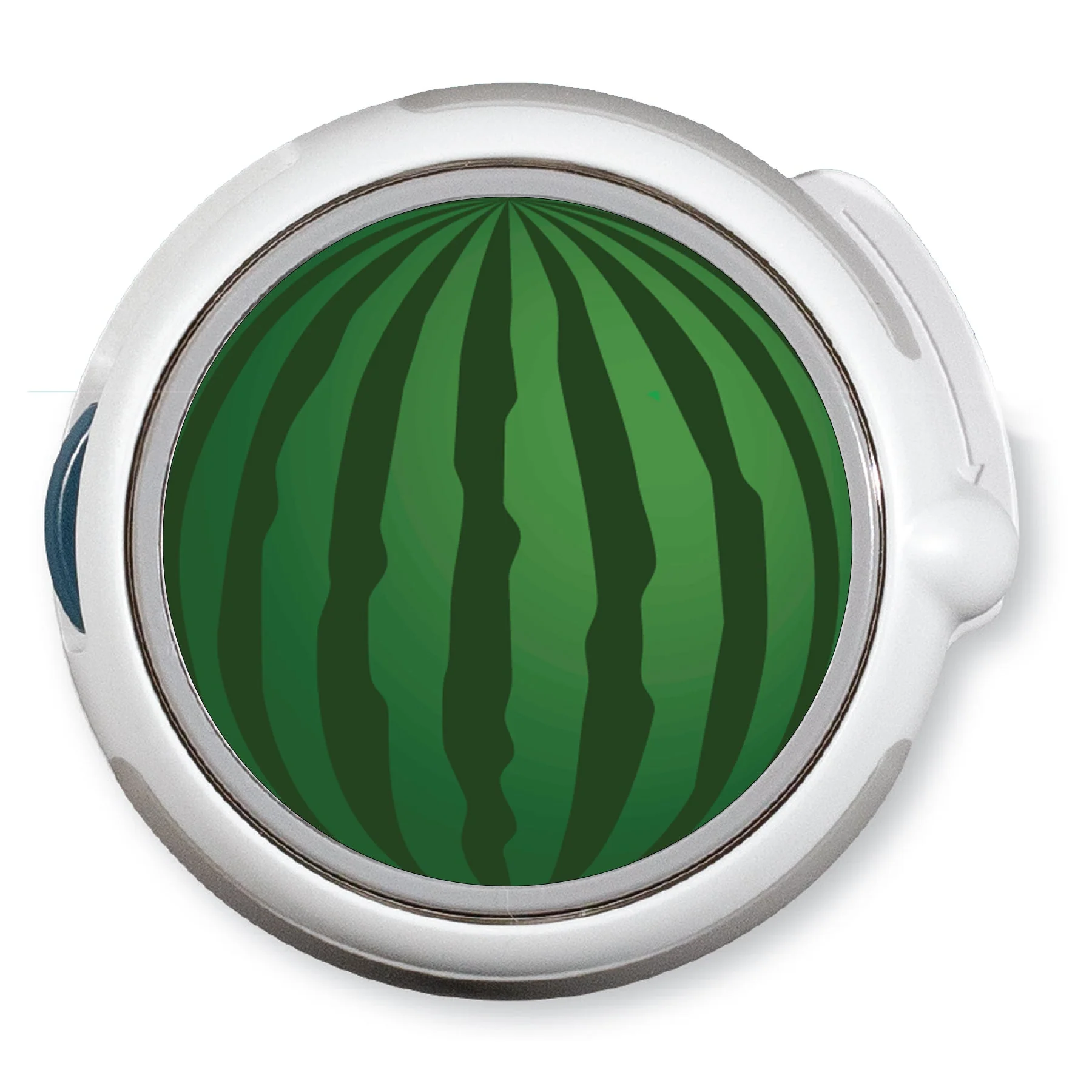 CF Watermelon twiist™ Automated Insulin Delivery System Stickers - Pump Peelz