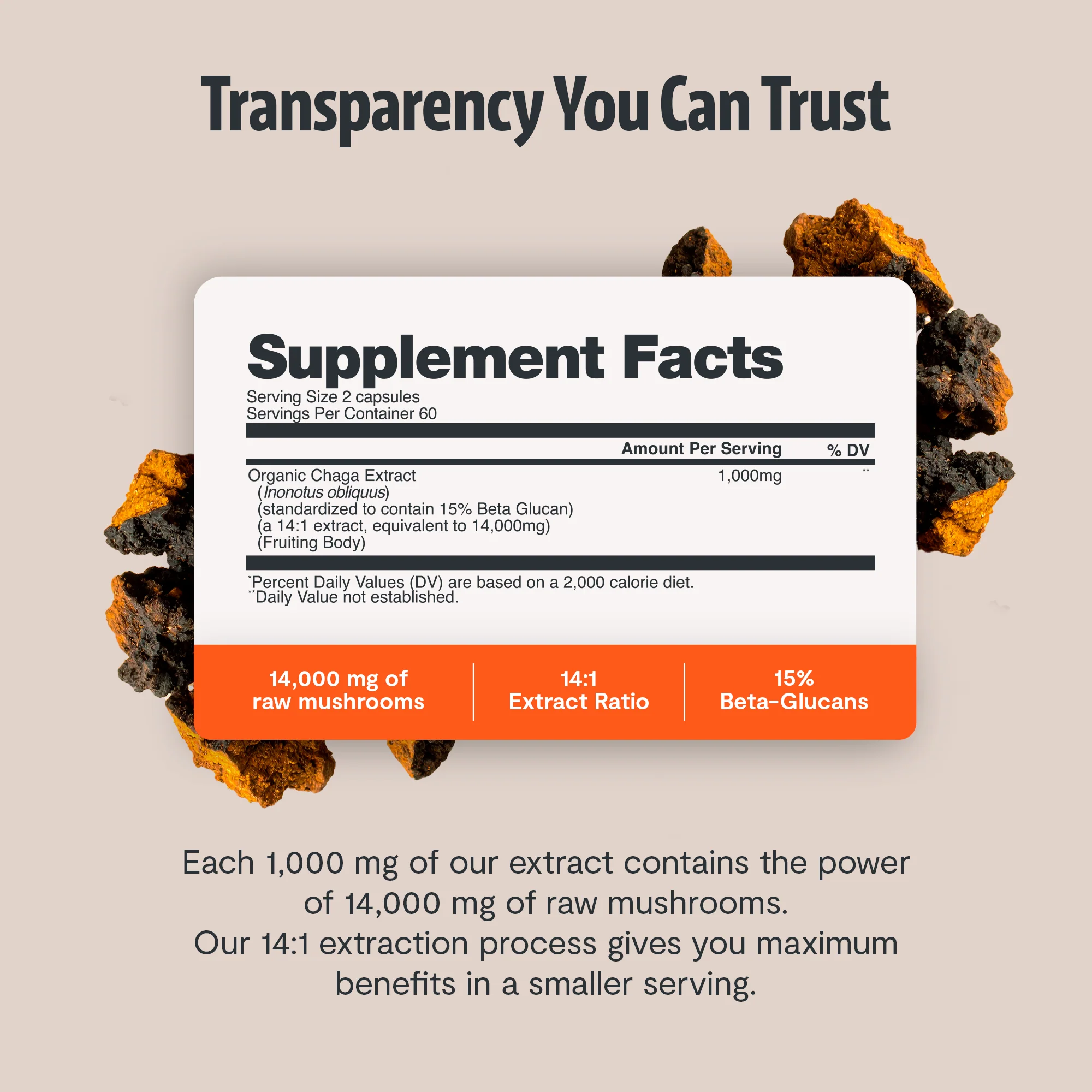 Chaga Mushroom Extract Capsules - Image 2