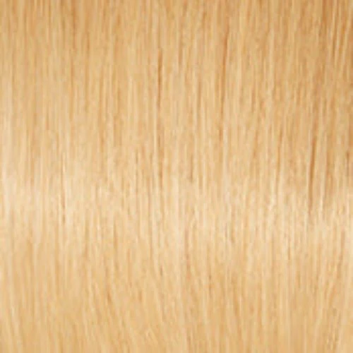 CHARMED LIFE 12" - Top Piece by Raquel Welch 100% Human Hair - Image 20