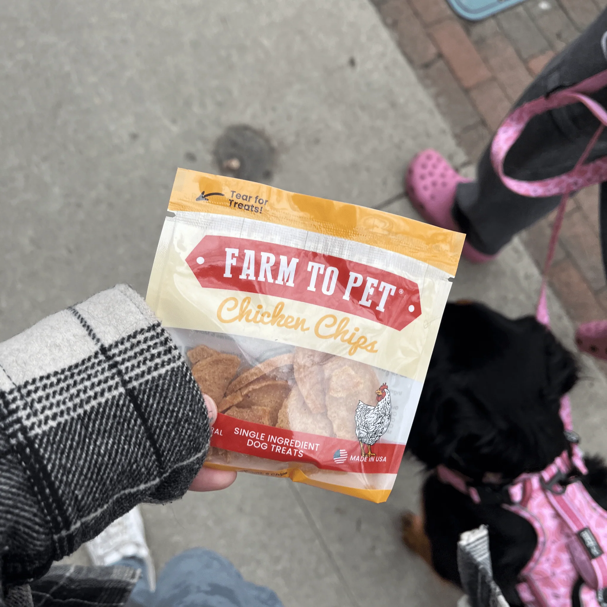 Chicken Chips Snack Pack Bundles | Dog Party Favors & Training Treats - Image 20