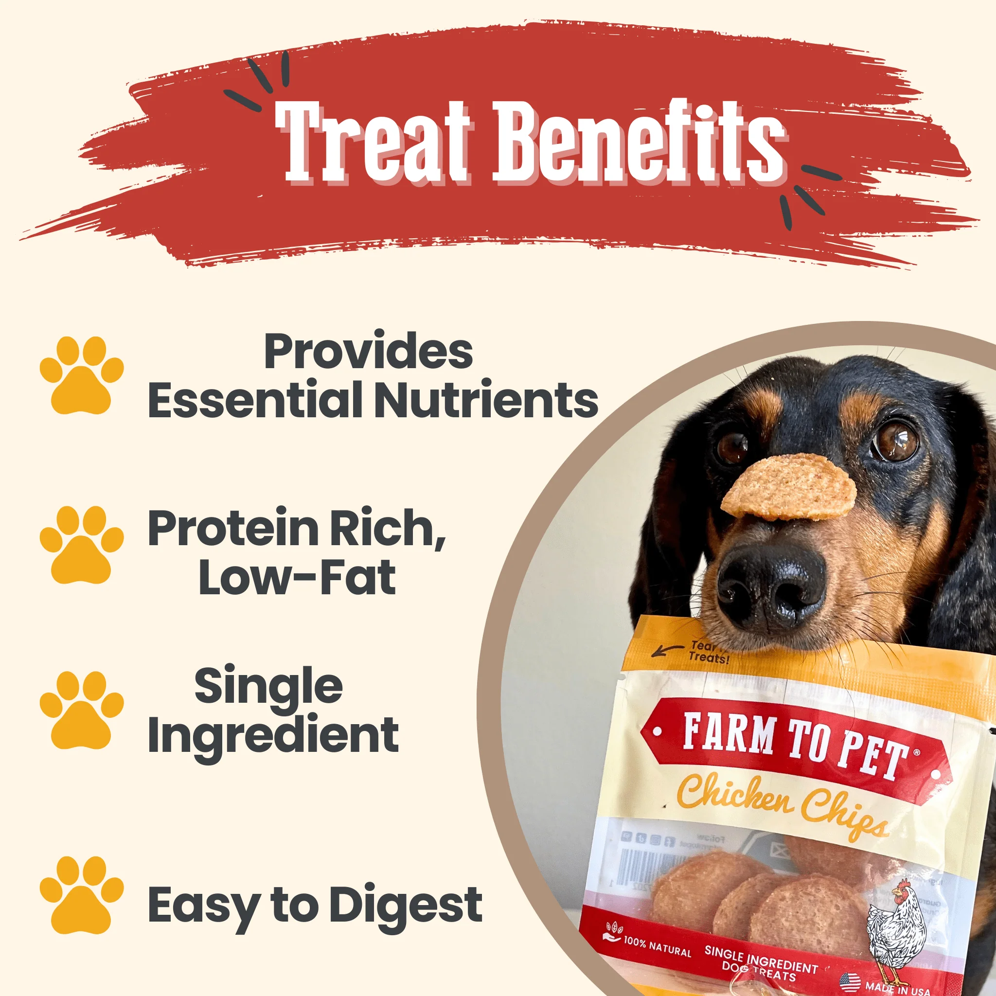 Chicken Chips Snack Pack Bundles | Dog Party Favors & Training Treats - Image 22