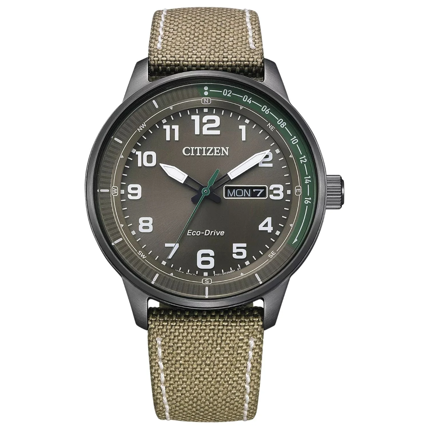 Citizen Men's Weekender