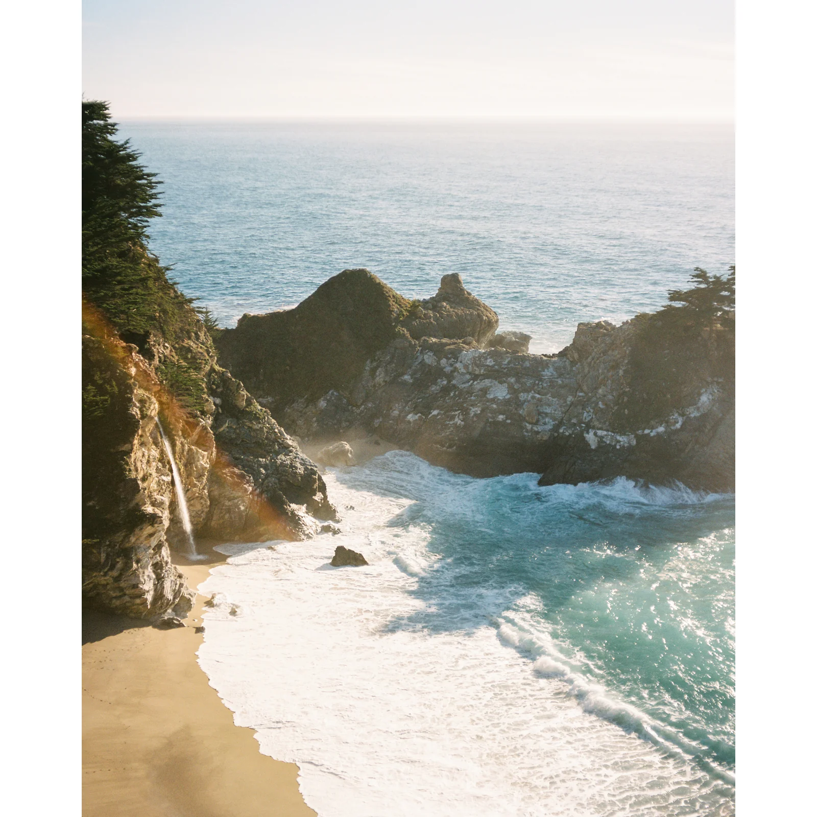 Coast Wilderness Cologne - Image 4