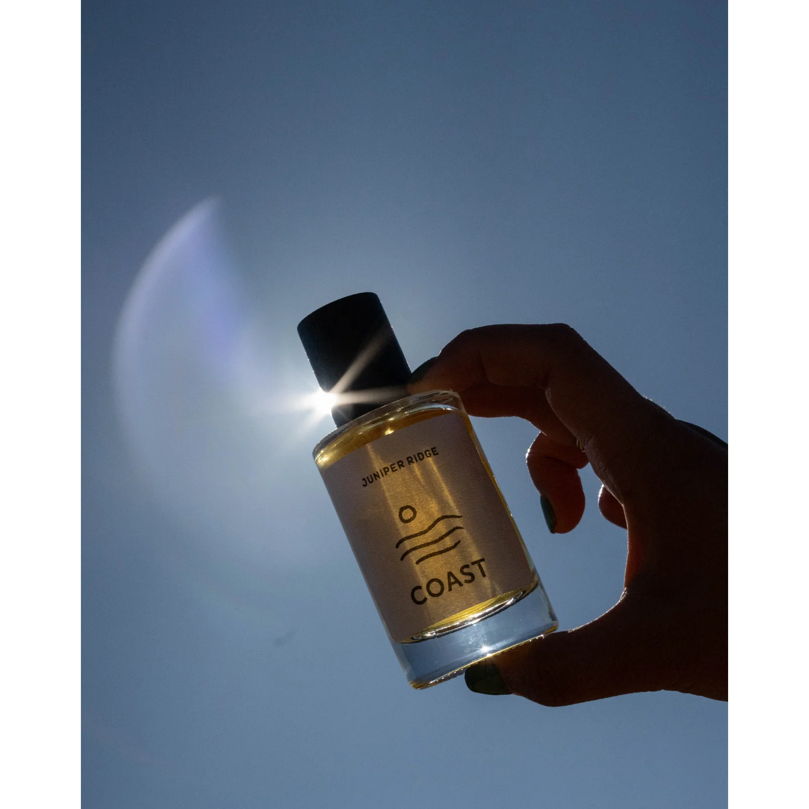 Coast Wilderness Cologne - Image 5