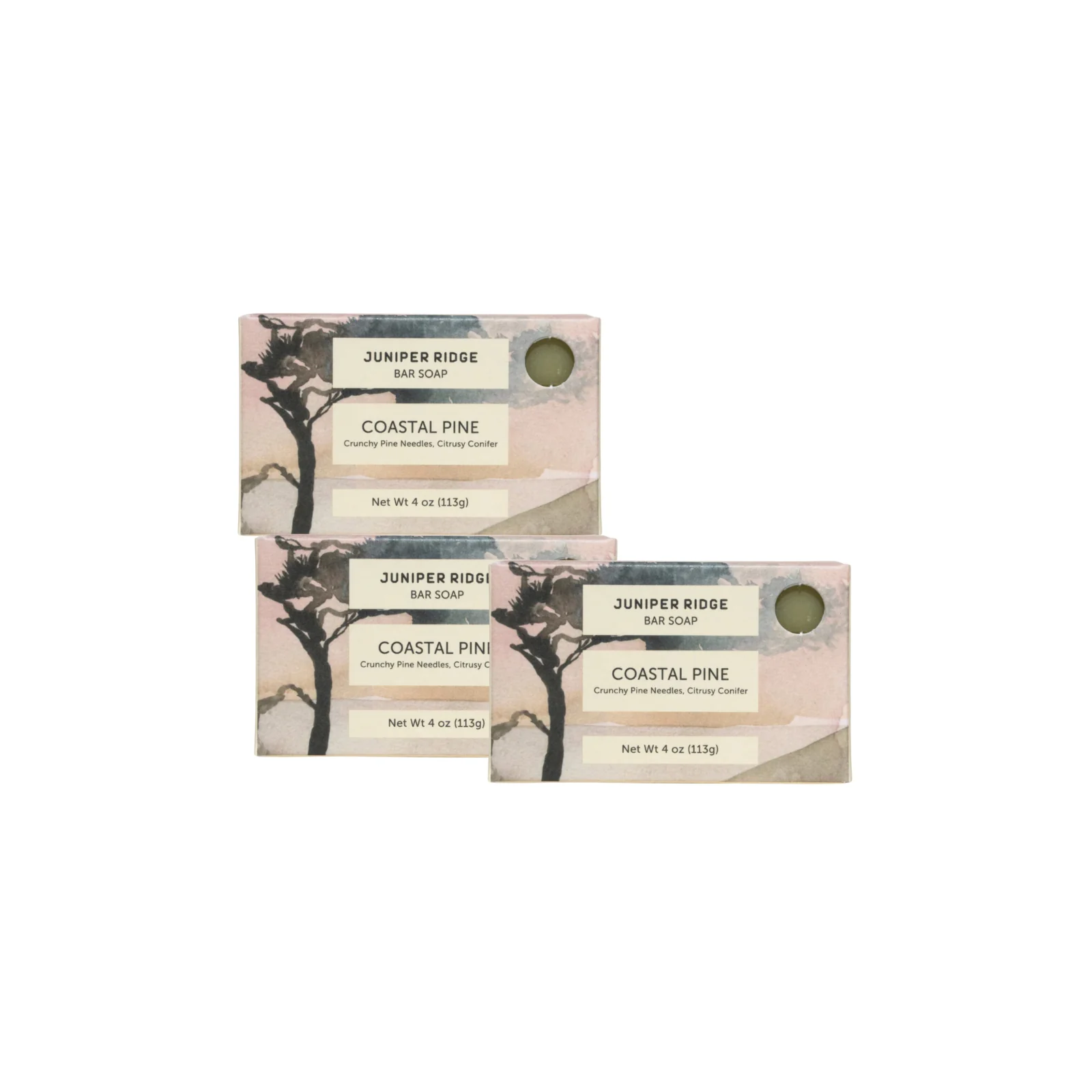 Coastal Pine Bar Soap 3-Pack