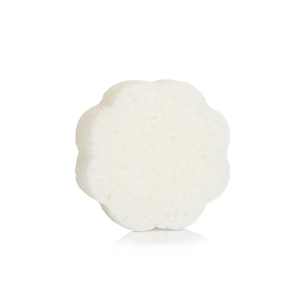 Coconut Verbena | Daisy Spongette - Image 4
