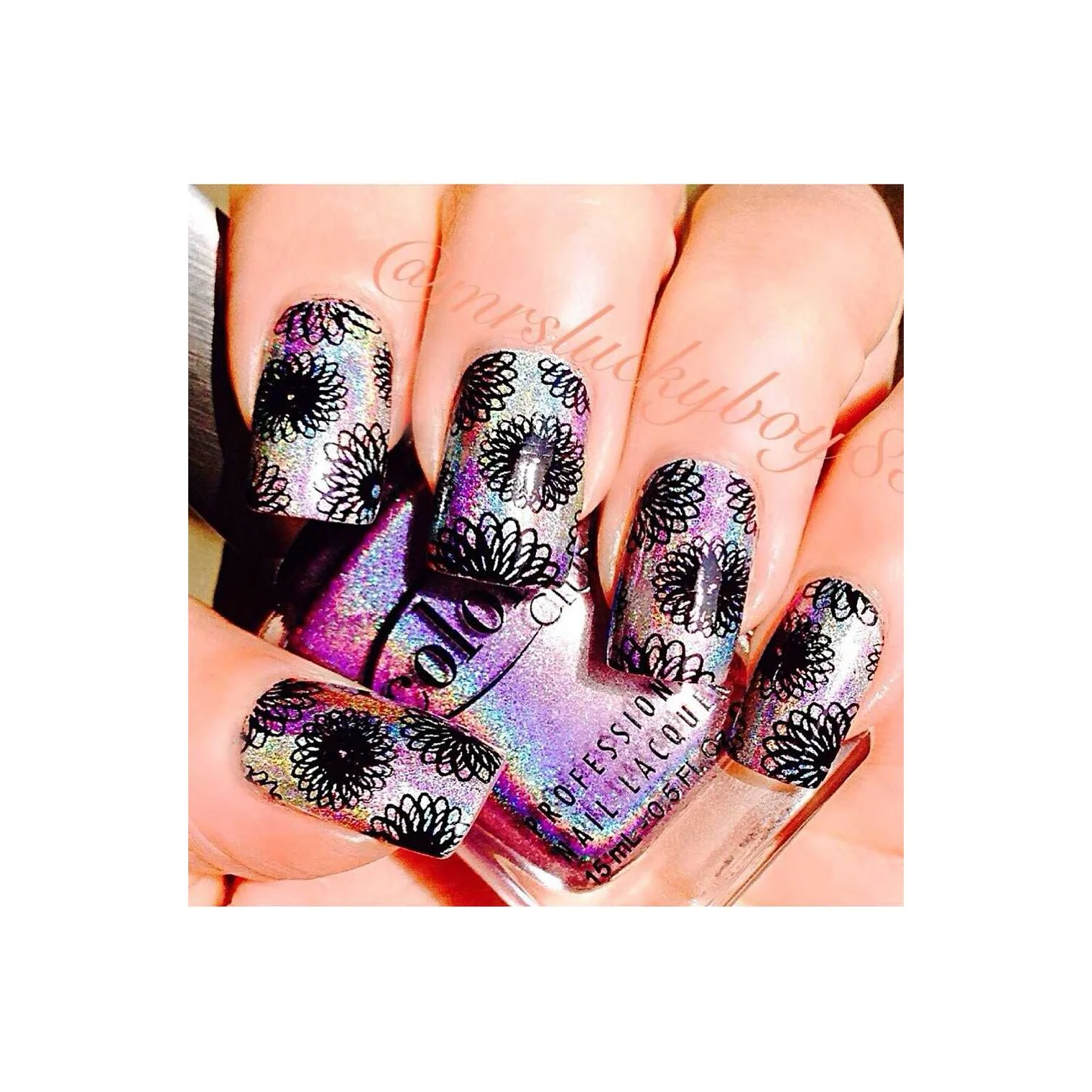Collection 03 - Image 6