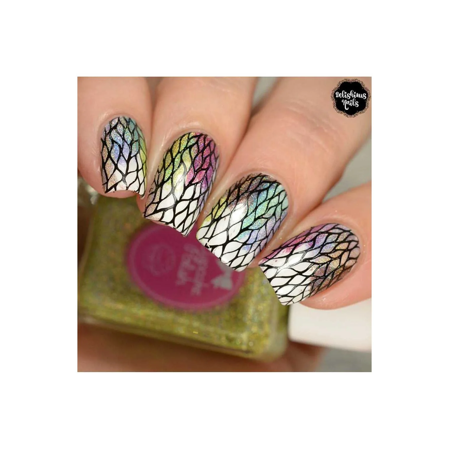 Collection 04 - Image 8