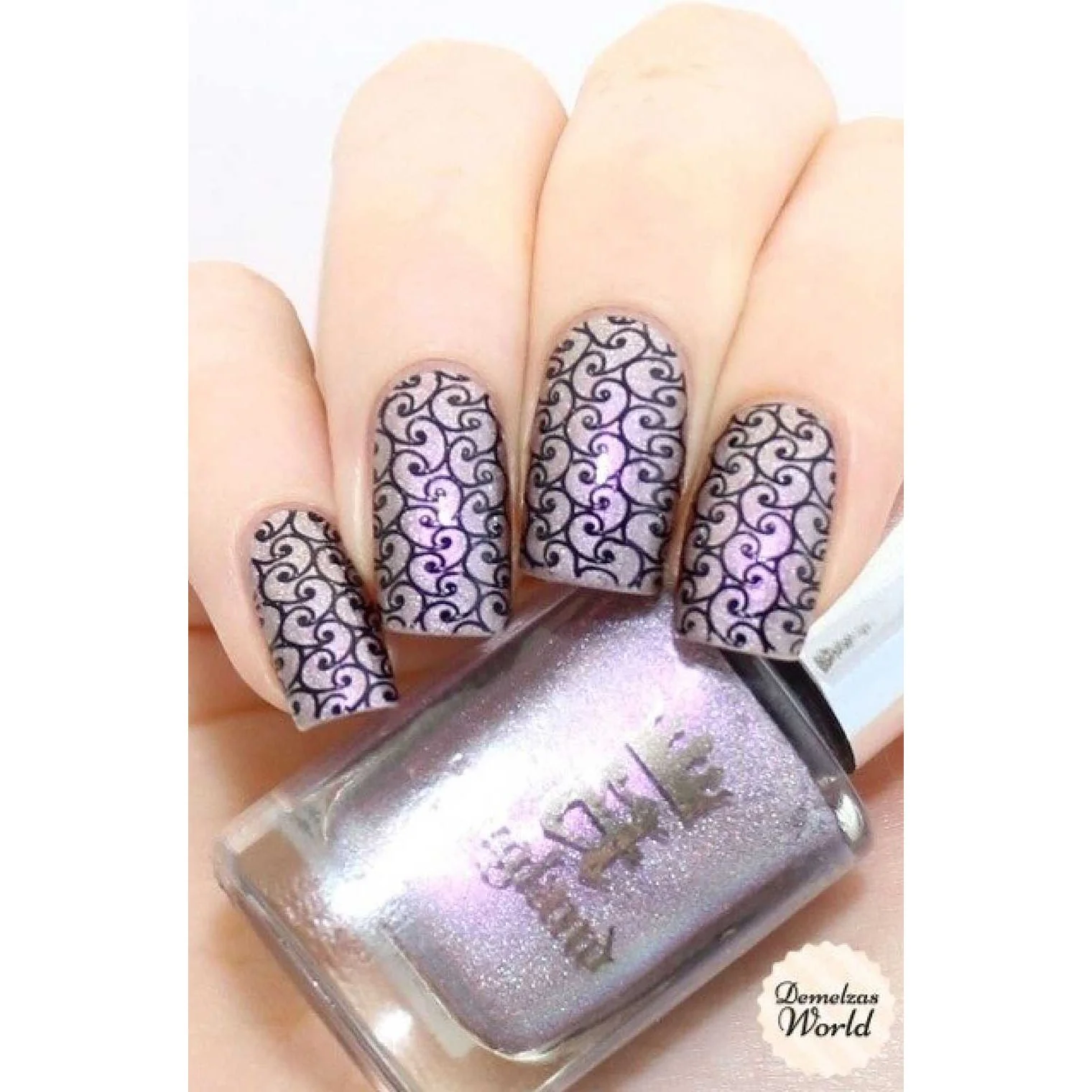 Collection 05 - Image 12