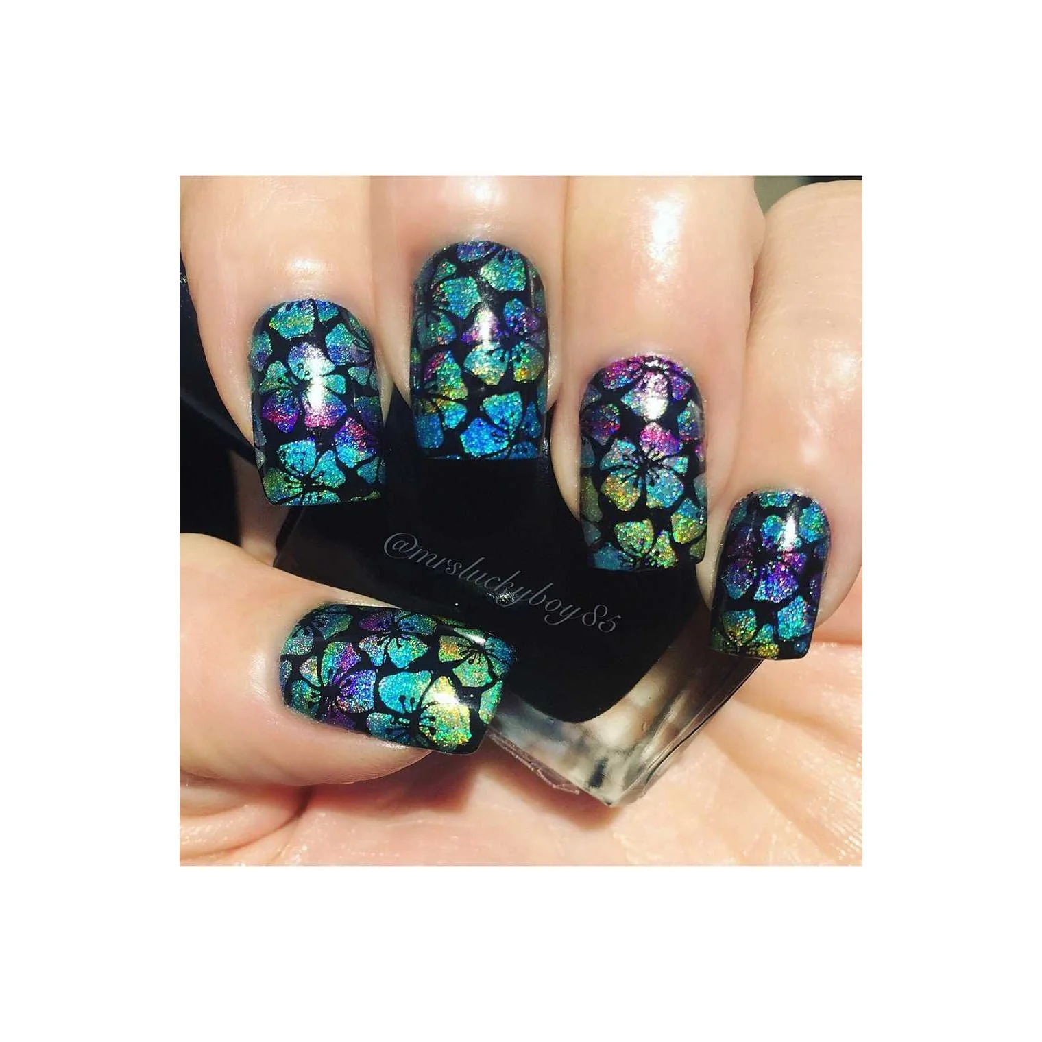 Collection 05 - Image 6
