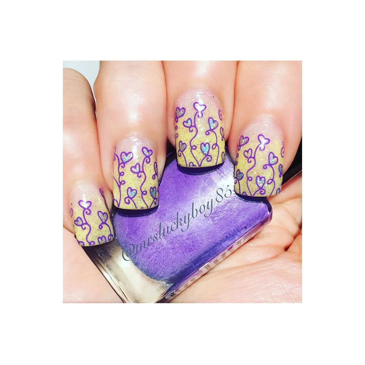 Collection 06 - Image 6