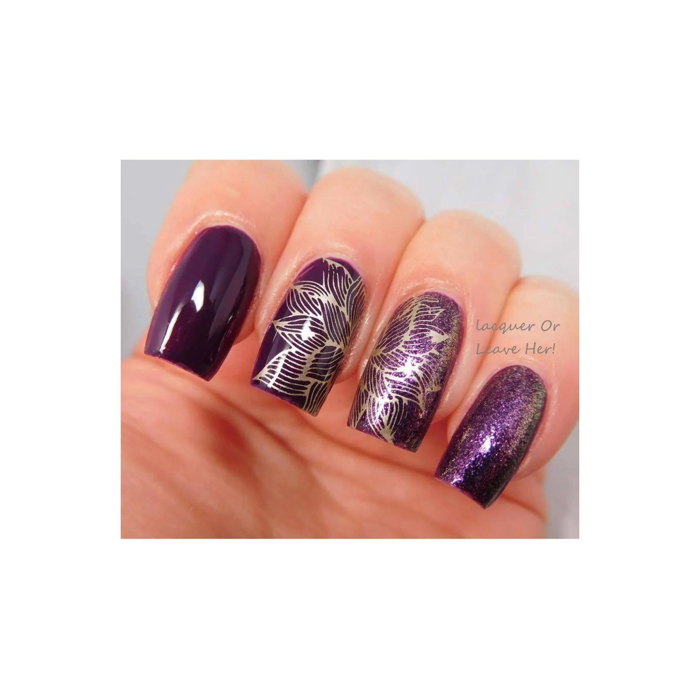 Collection 07 - Image 13