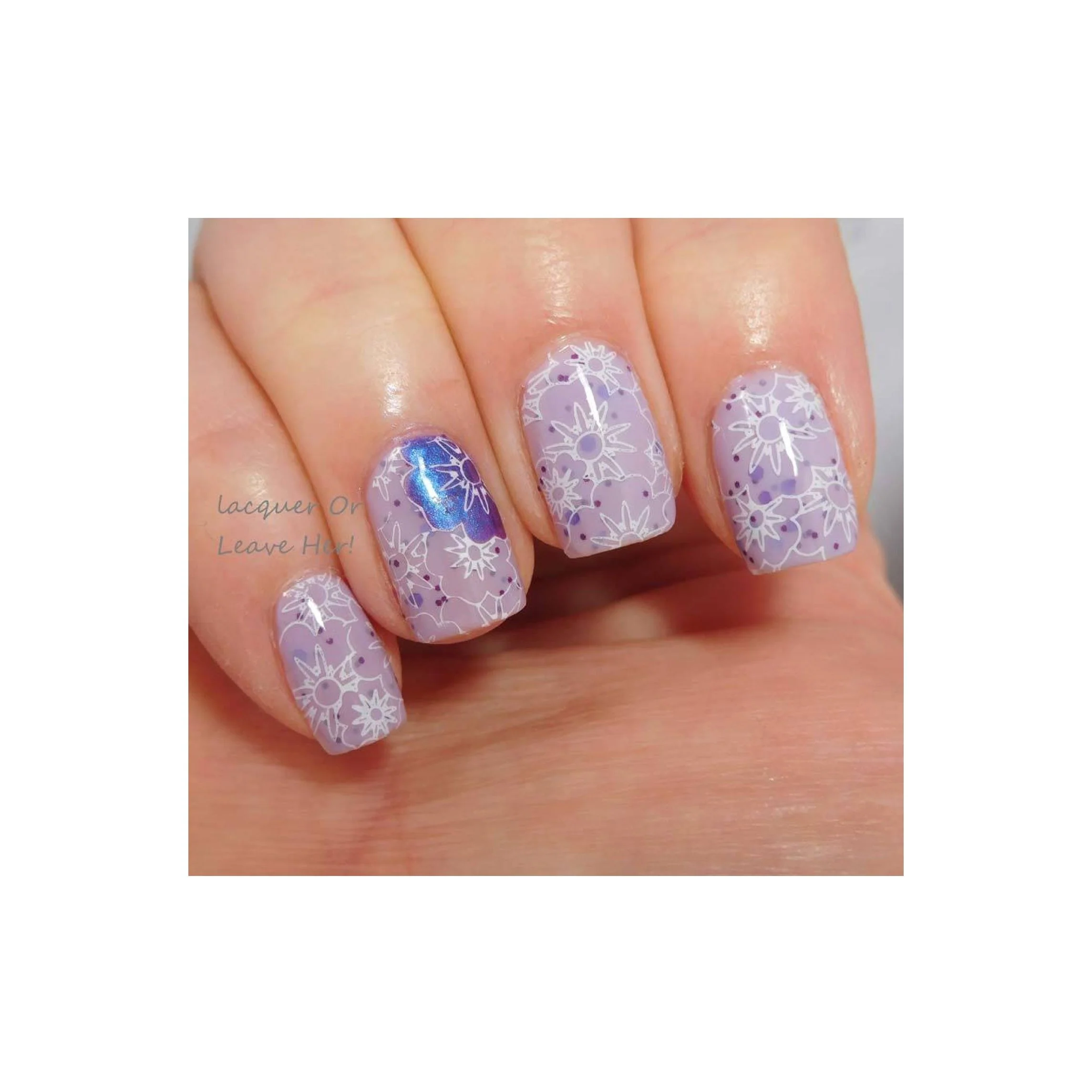 Collection 07 - Image 14