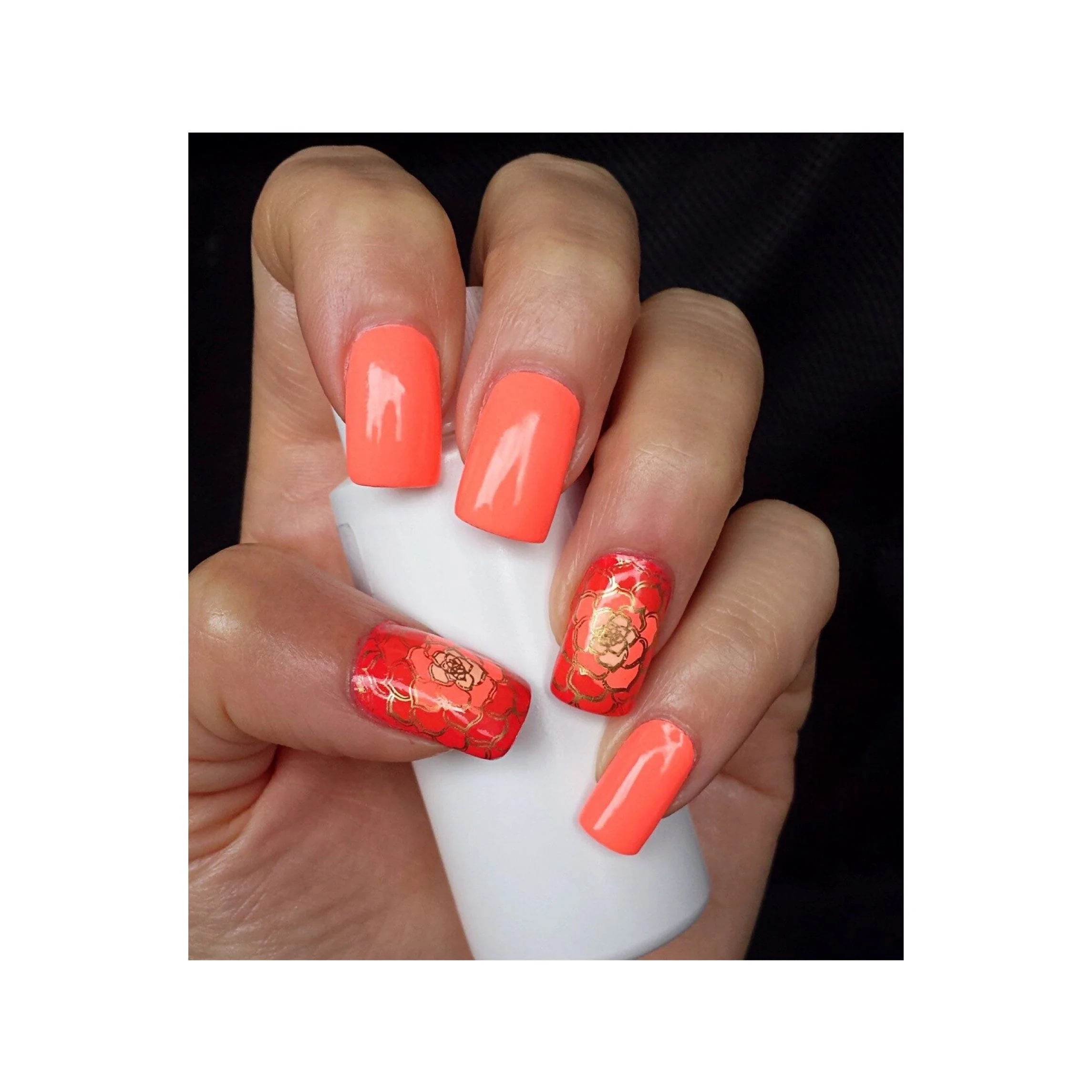 Collection 07 - Image 6