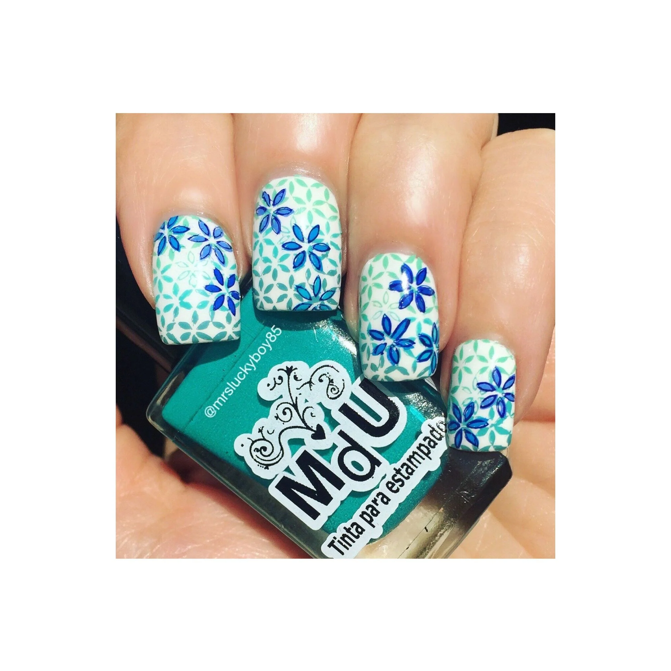 Collection 08 - Image 12