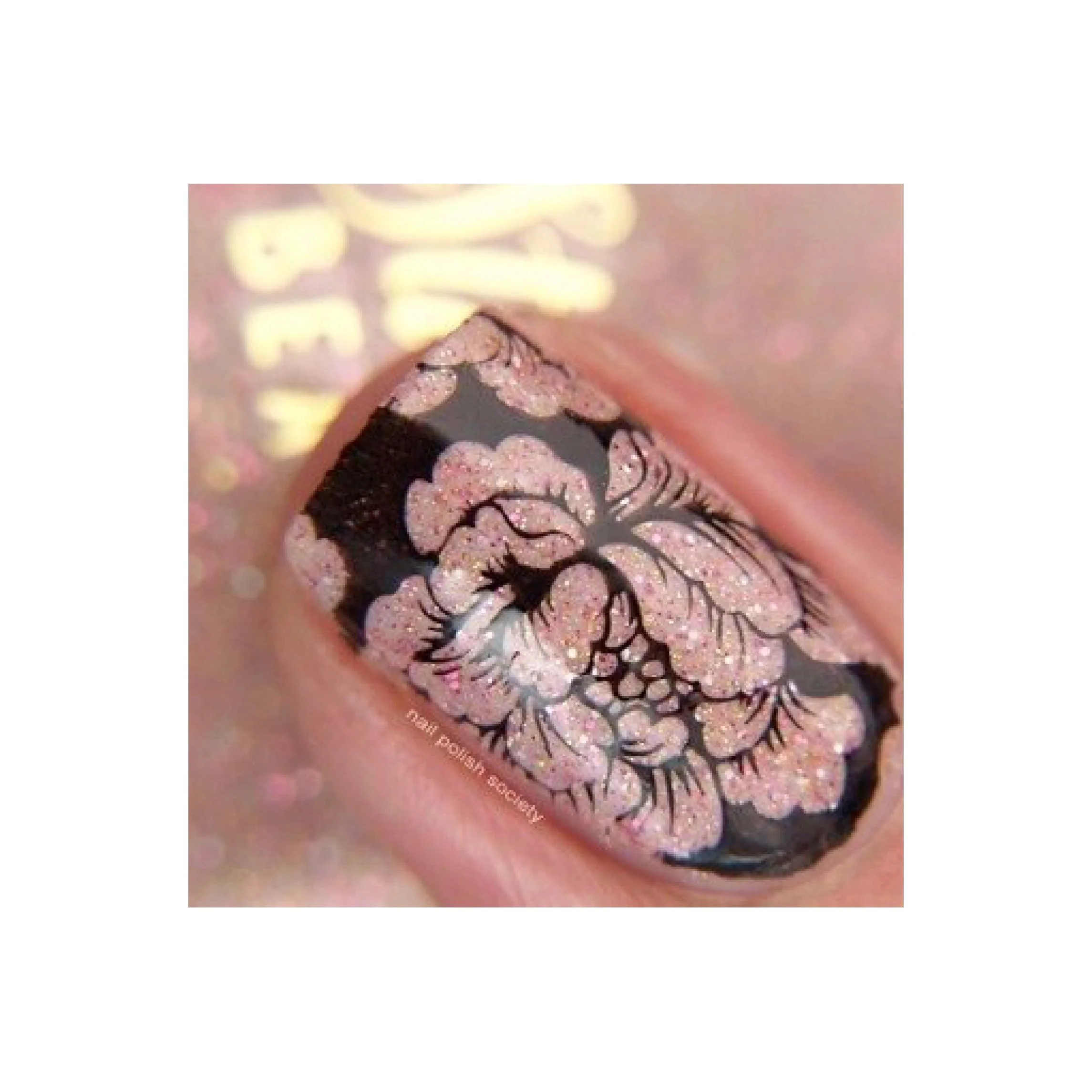Collection 09 - Image 10