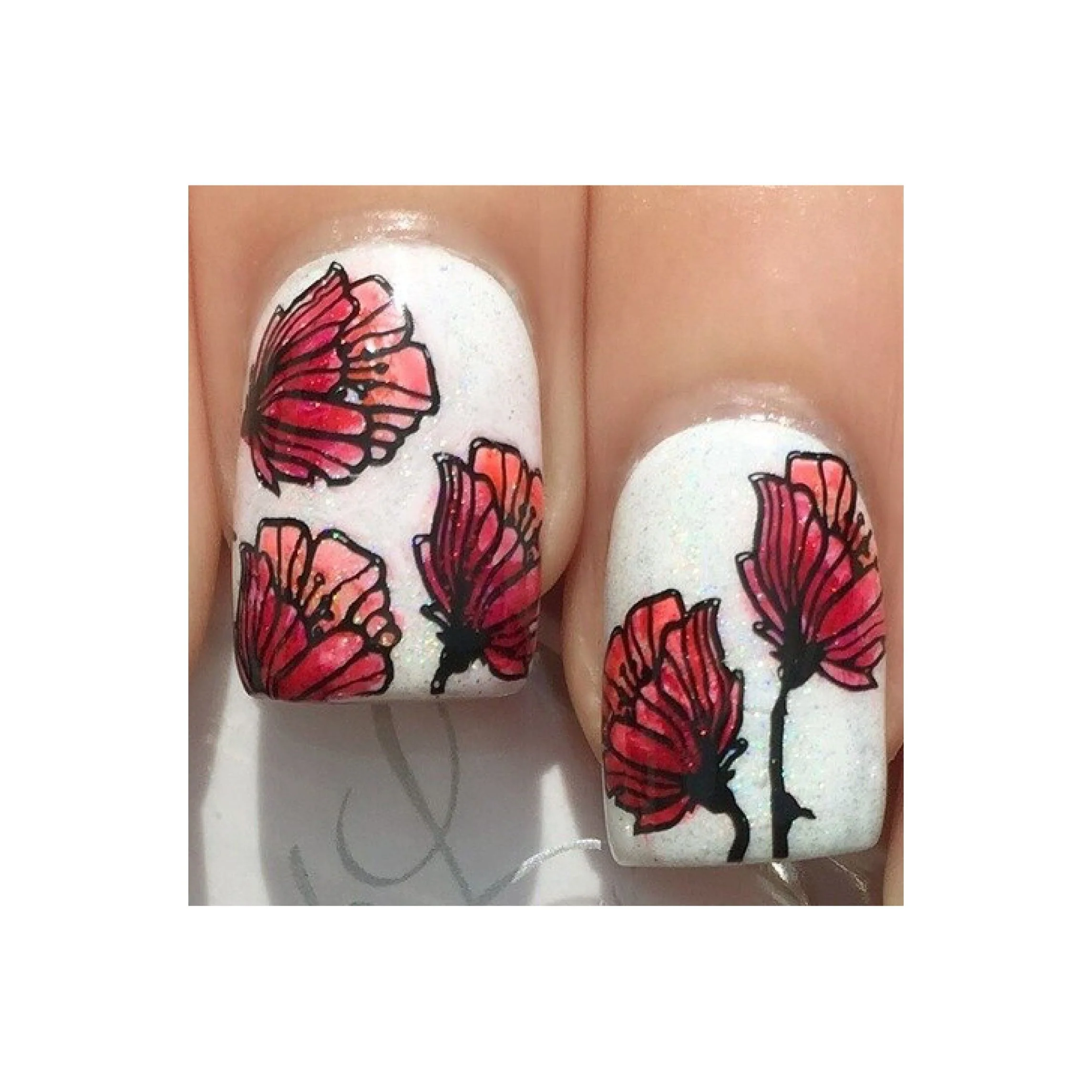 Collection 09 - Image 12