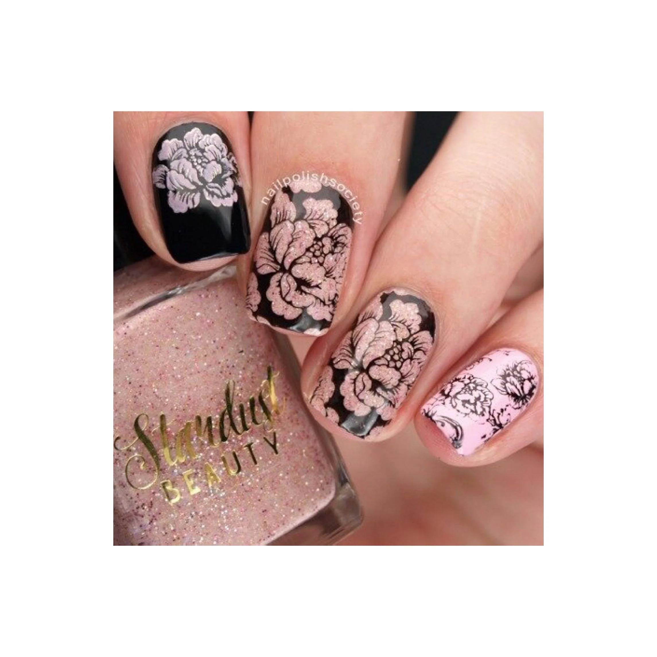 Collection 09 - Image 2