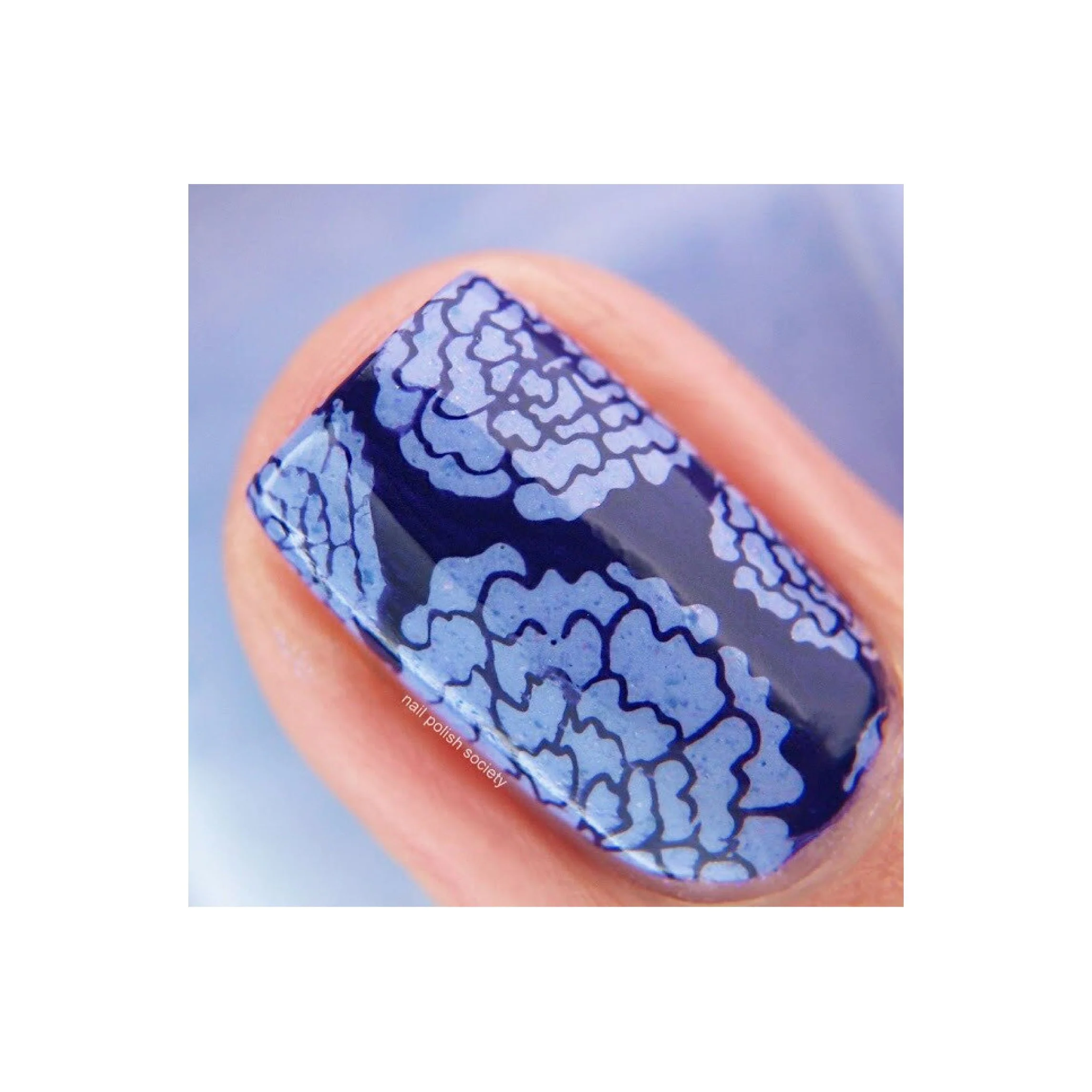 Collection 10 - Image 15
