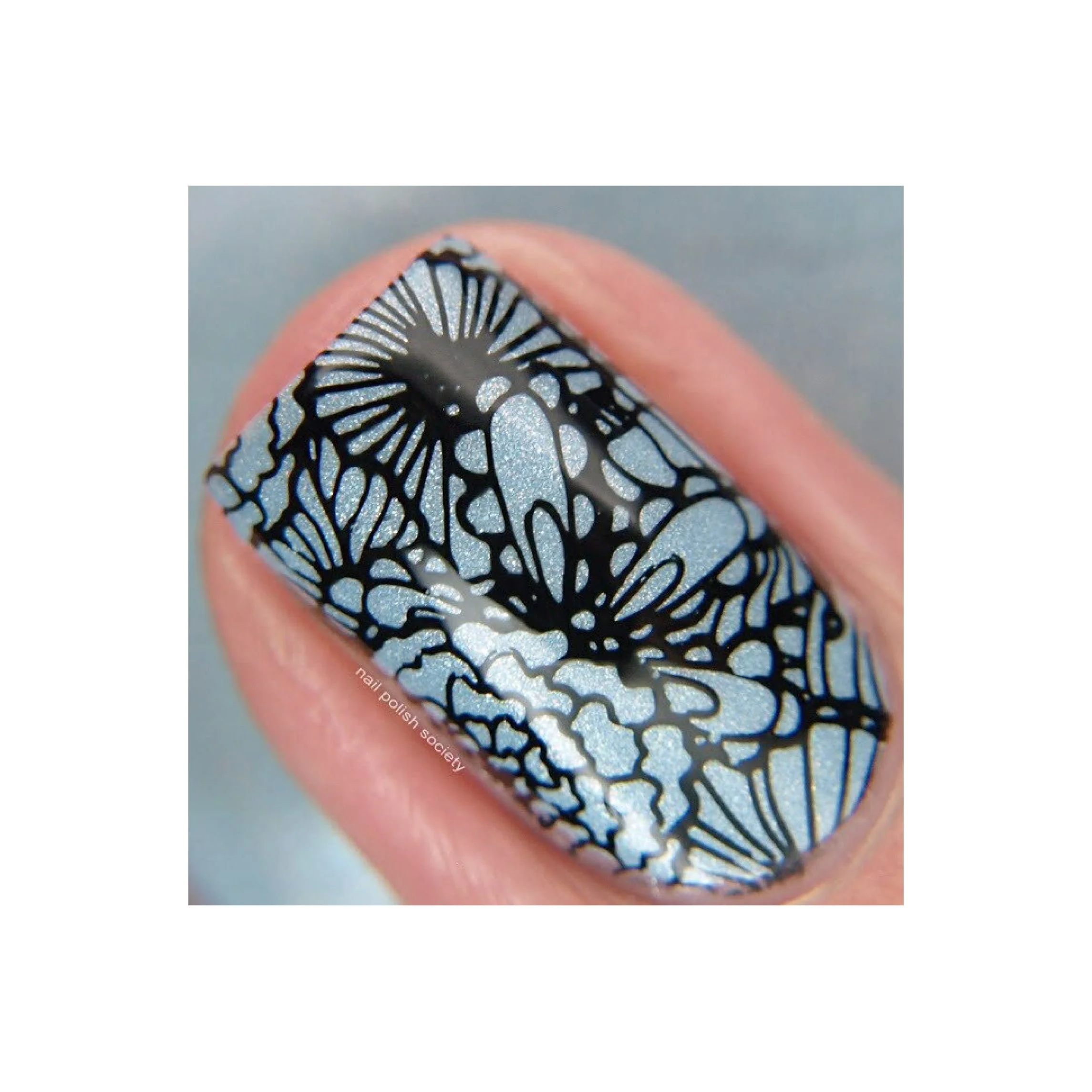 Collection 10 - Image 9