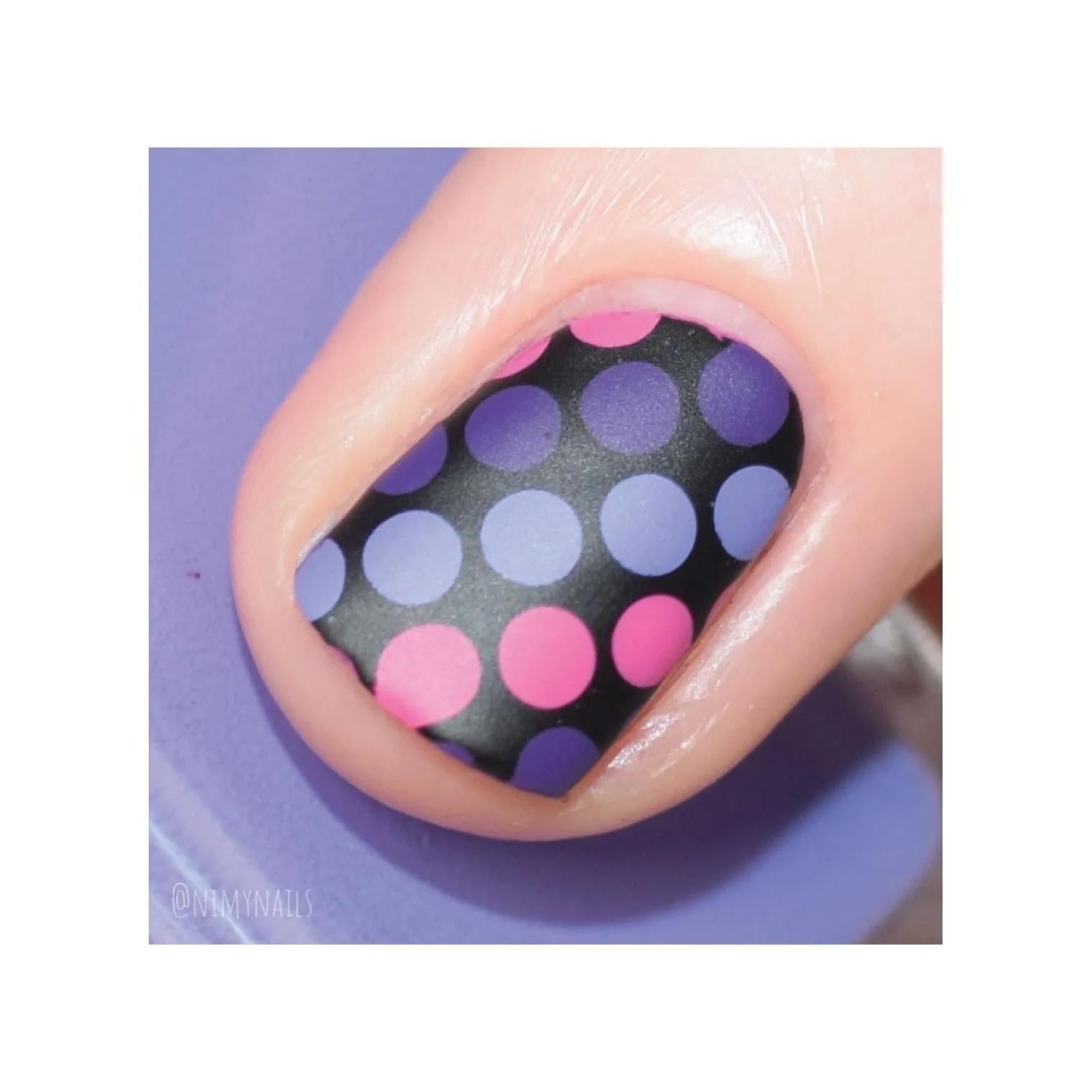 Collection 11 - Image 6