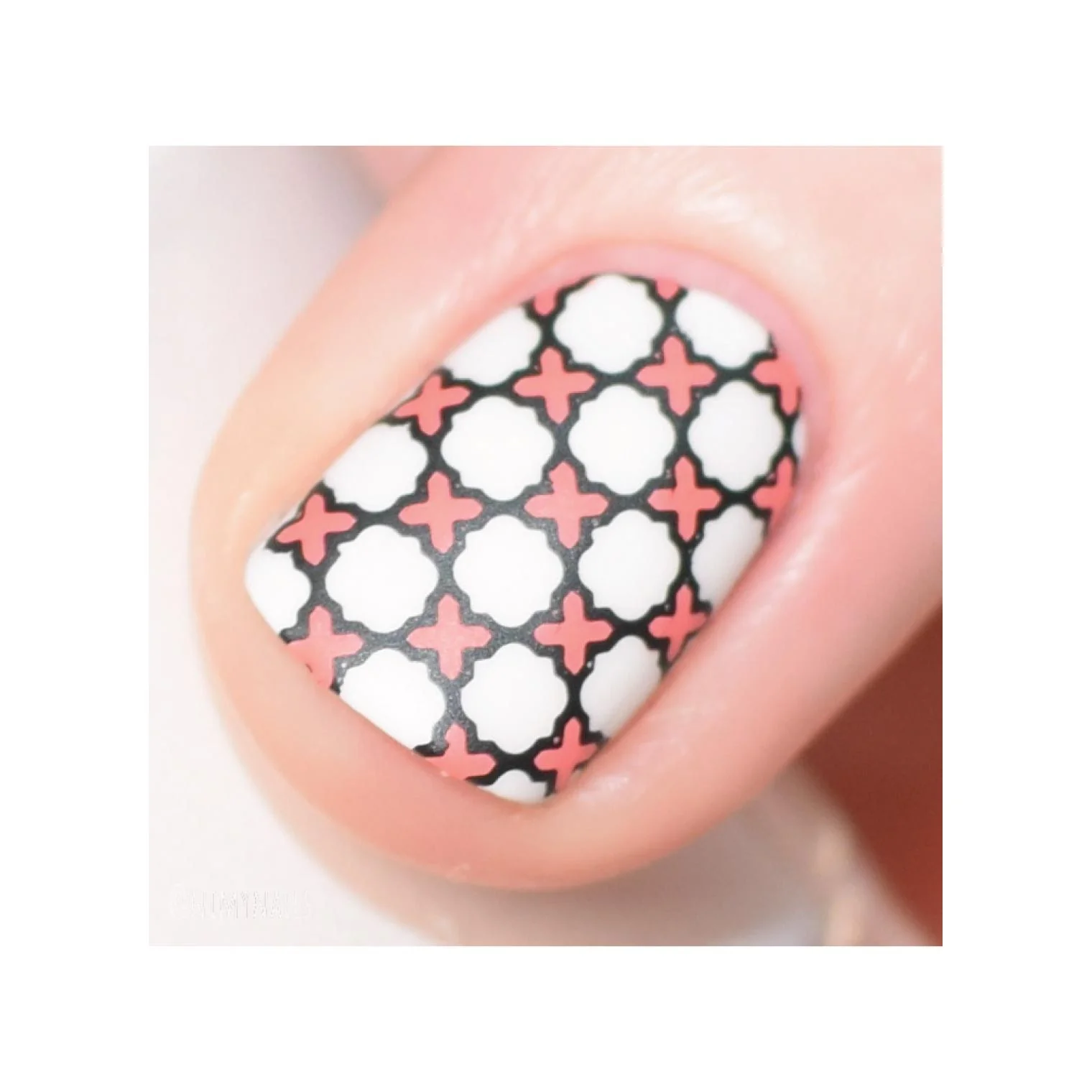 Collection 11 - Image 8