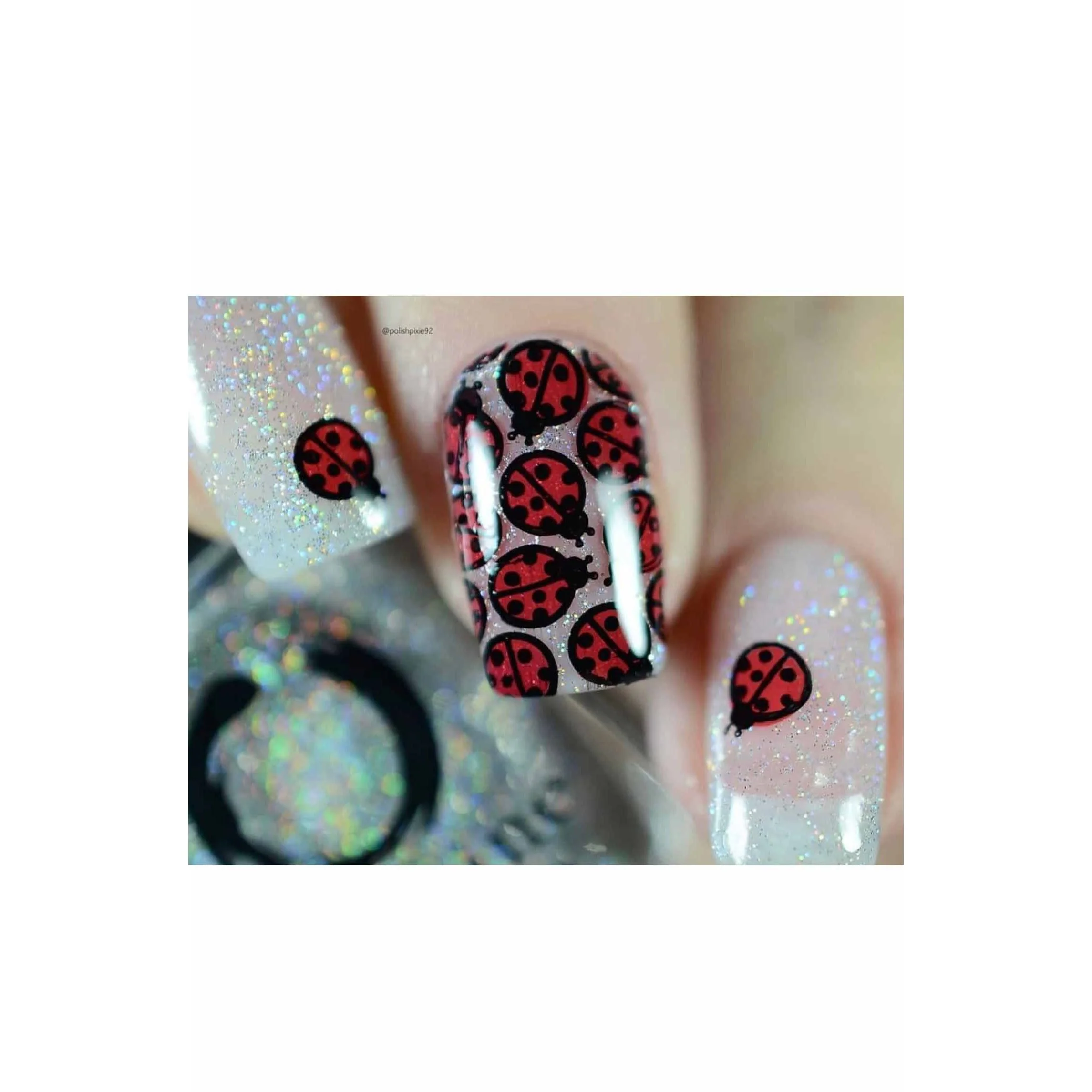 Collection 12 - Image 6