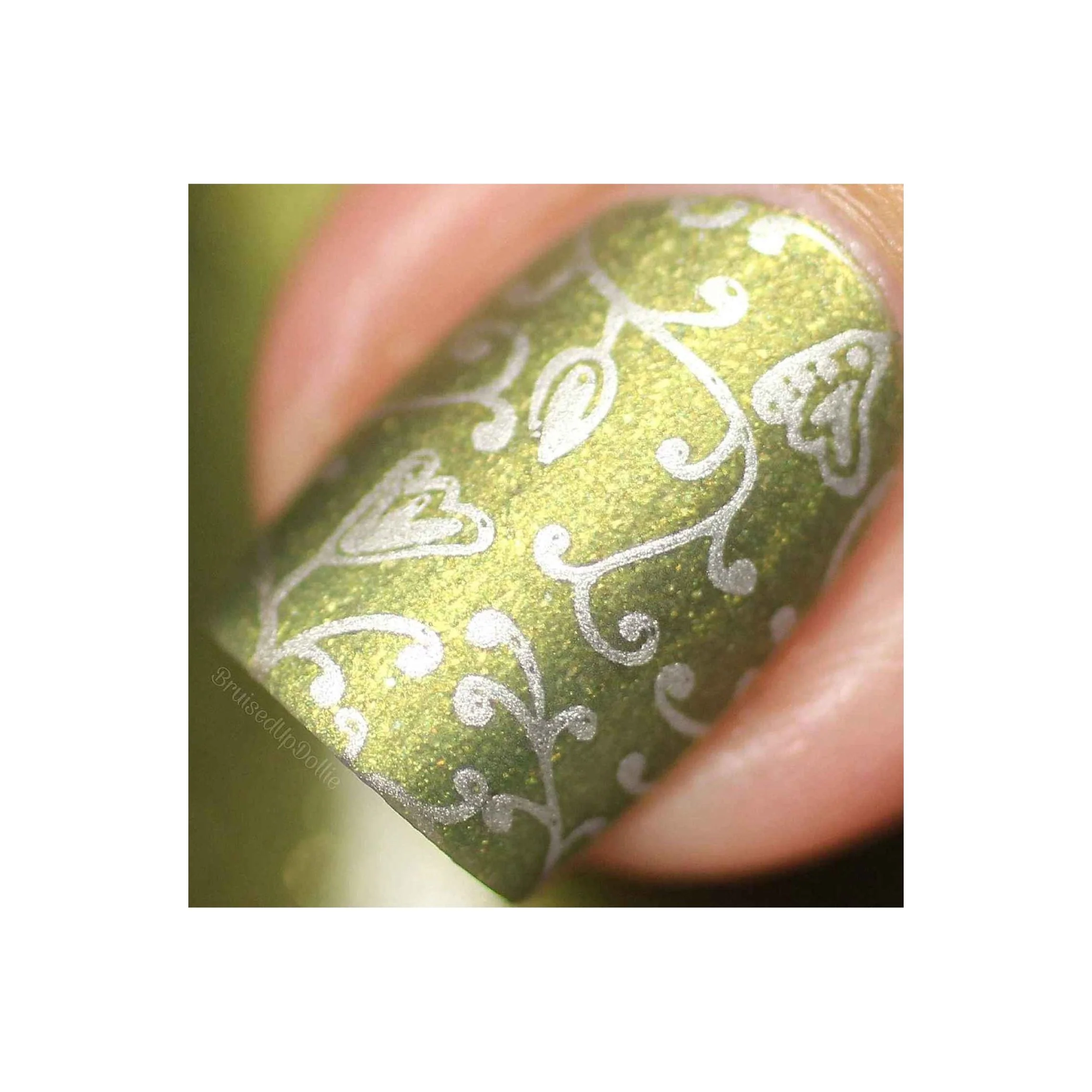 Collection 12 - Image 7