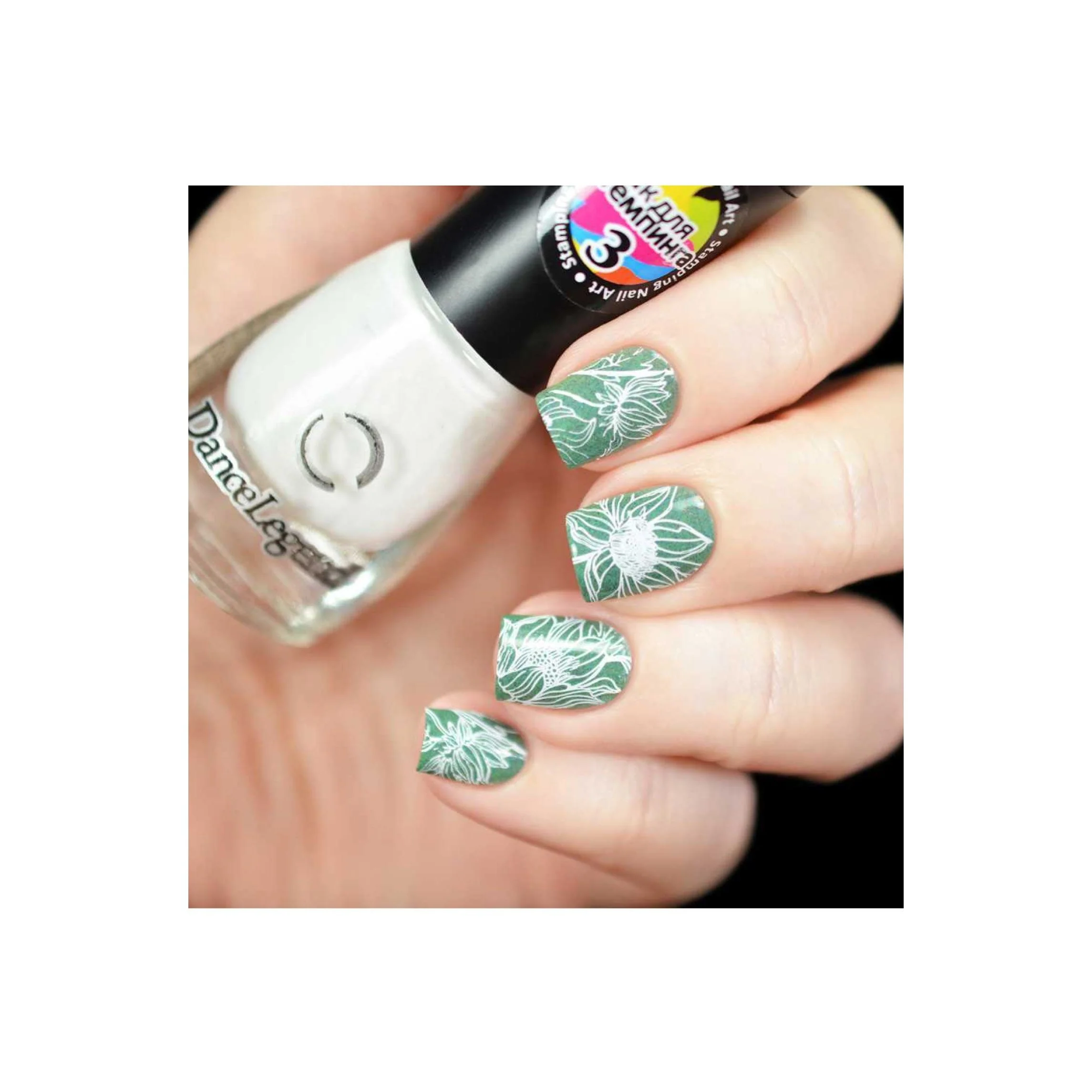 Collection 13 - Image 9