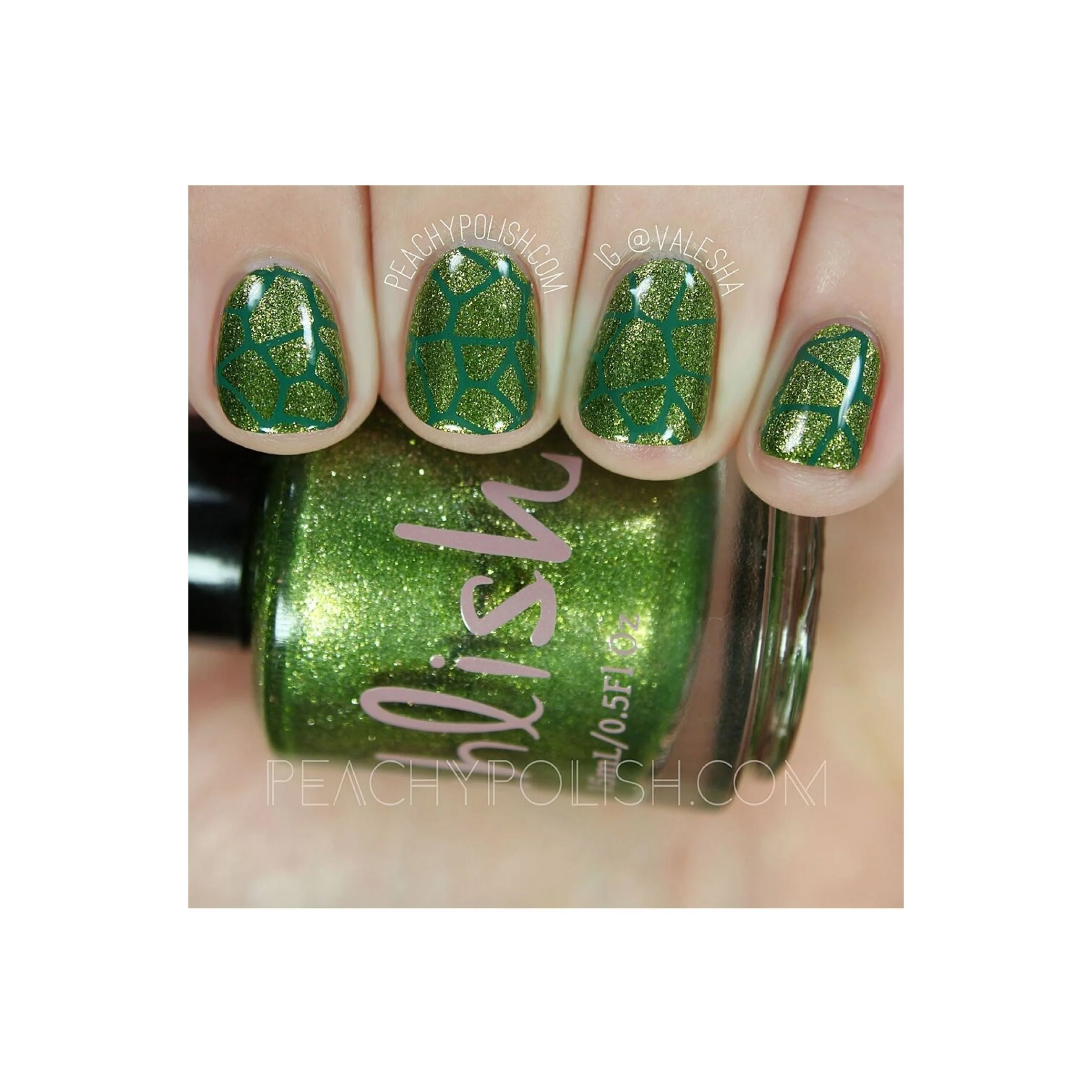 Collection 14 - Image 11