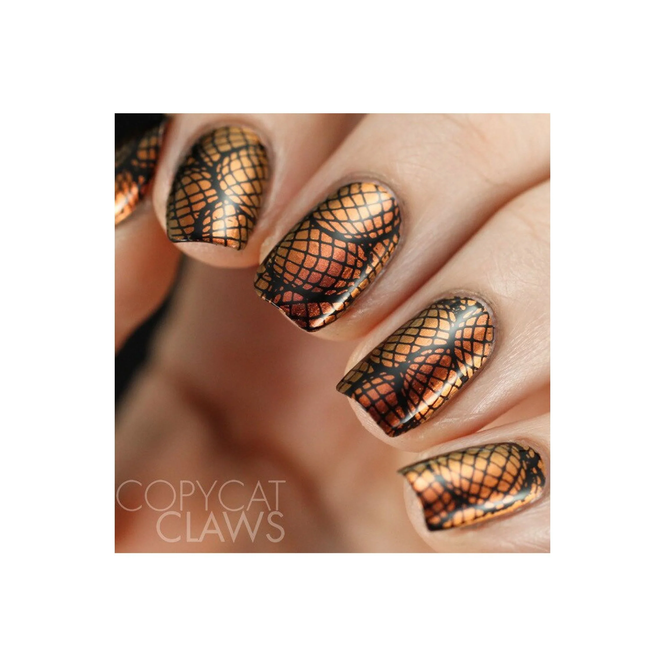 Collection 14 - Image 14