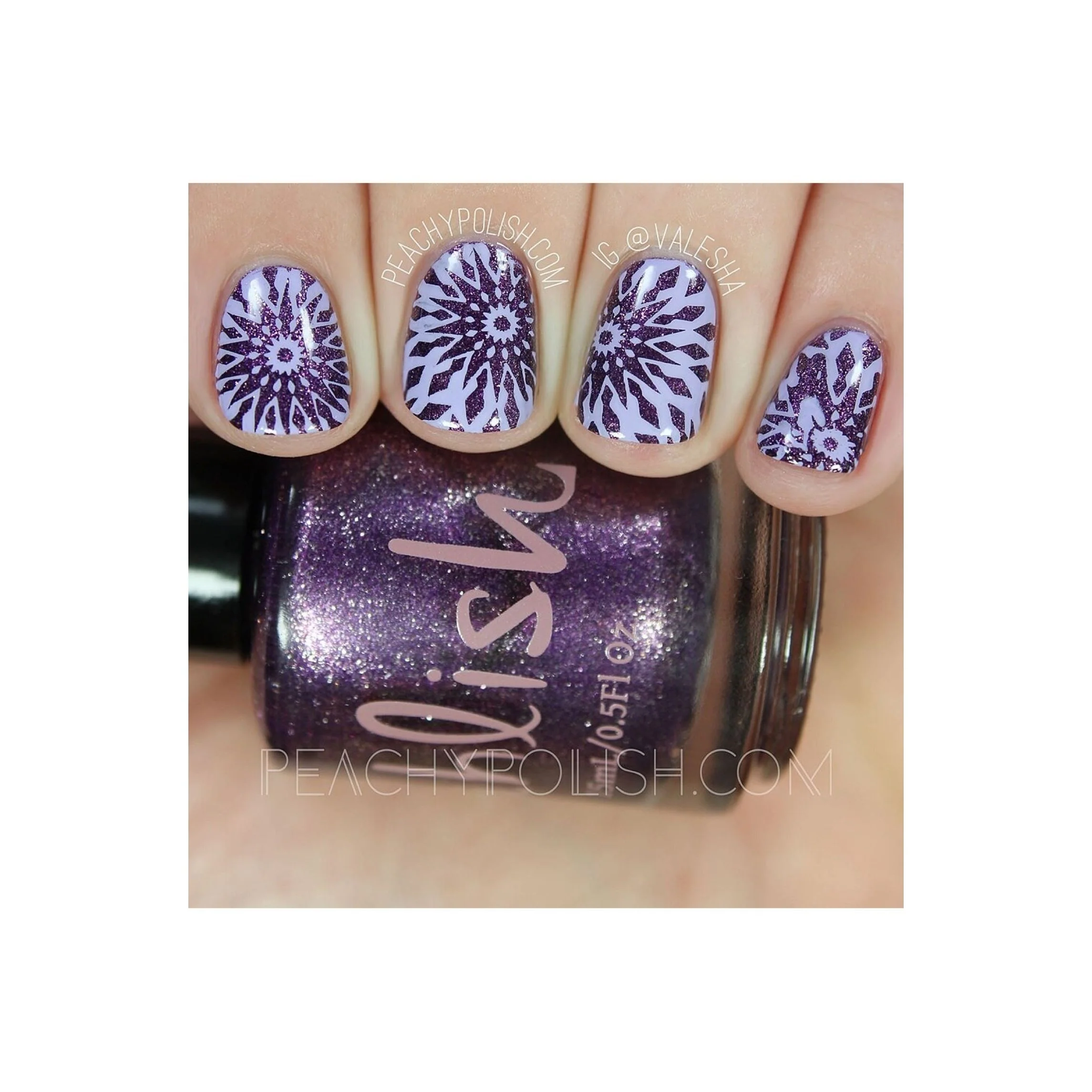 Collection 14 - Image 16